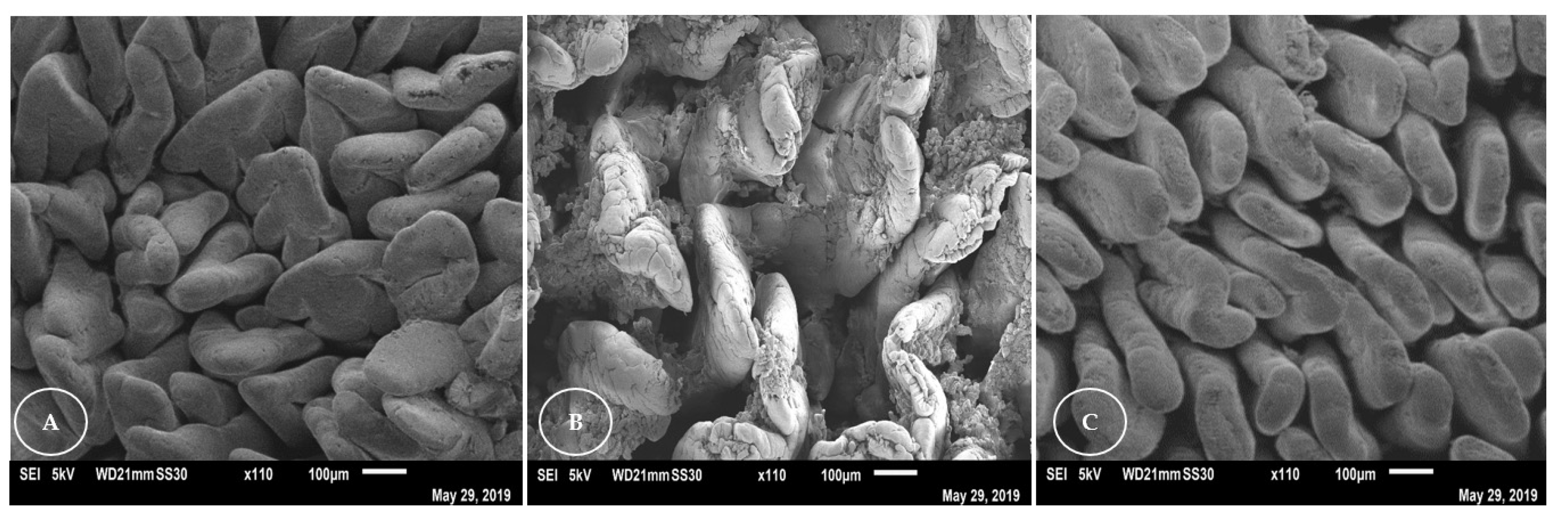 Animals 13 00192 g002