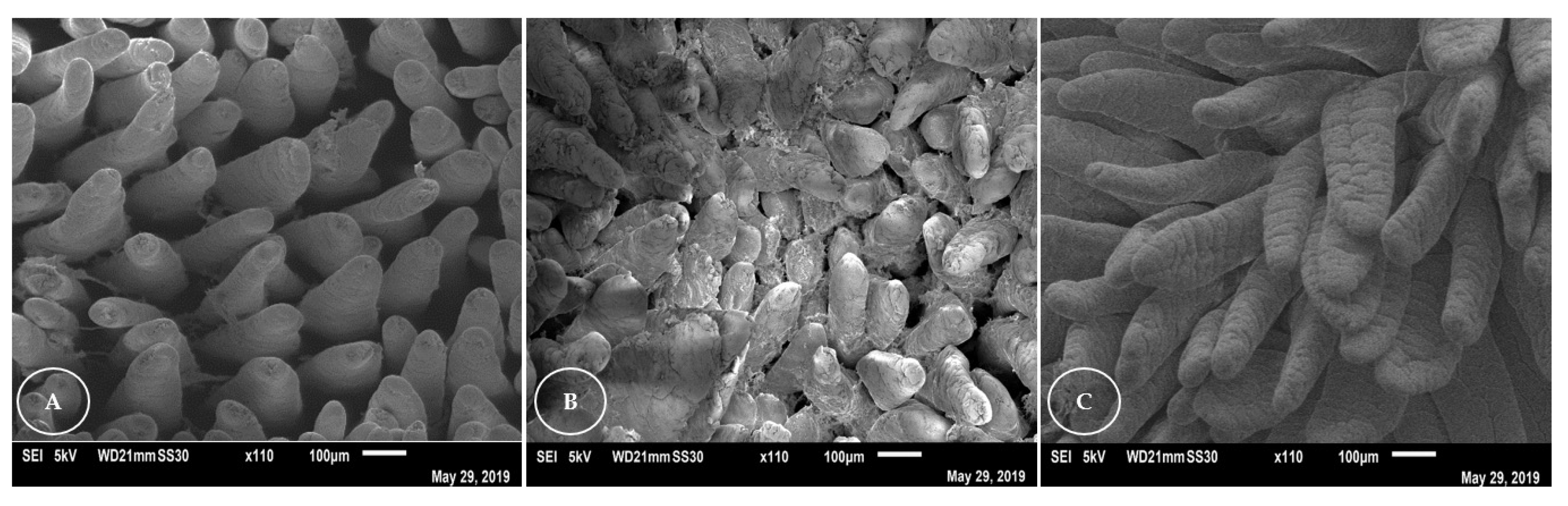 Animals 13 00192 g003