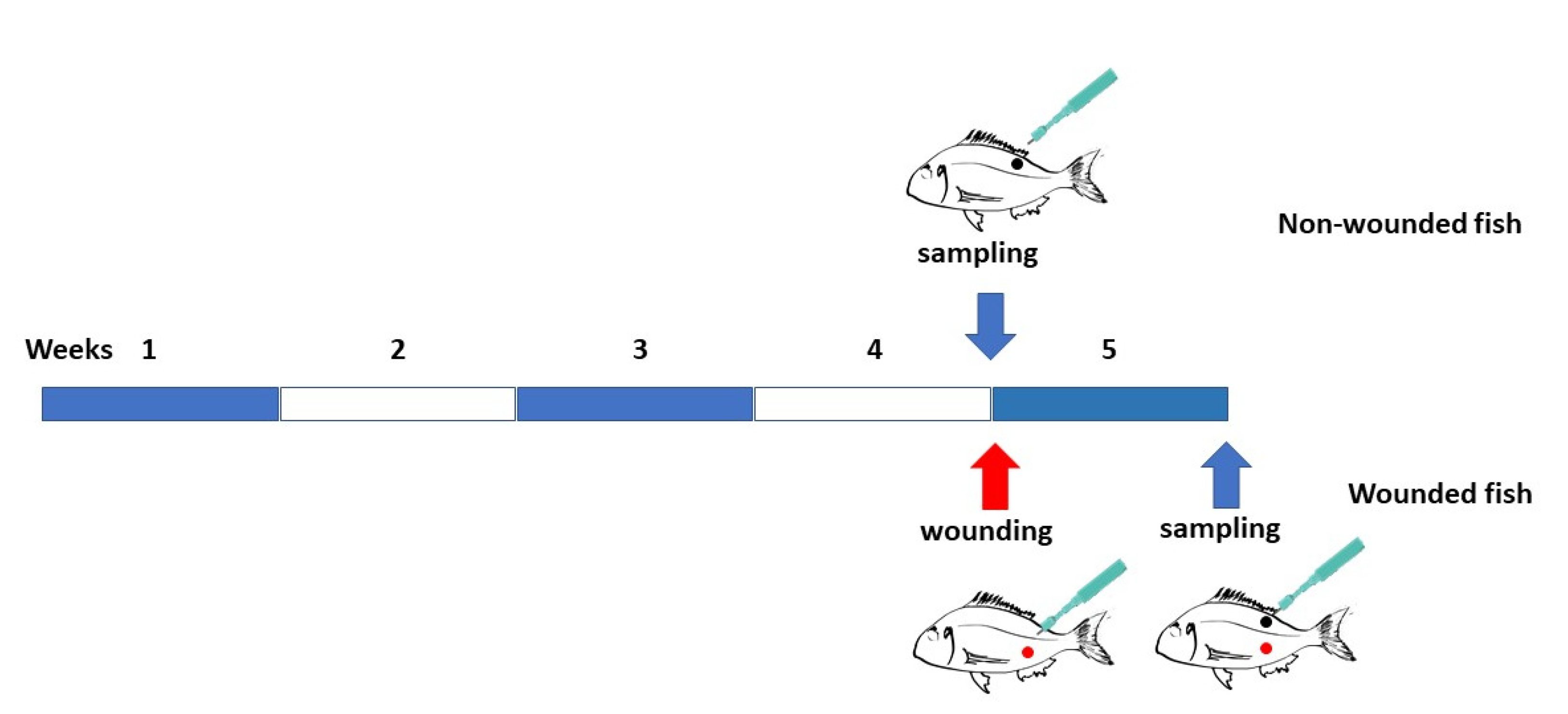 Animals 13 00193 g001 Animals 13 00193 g001