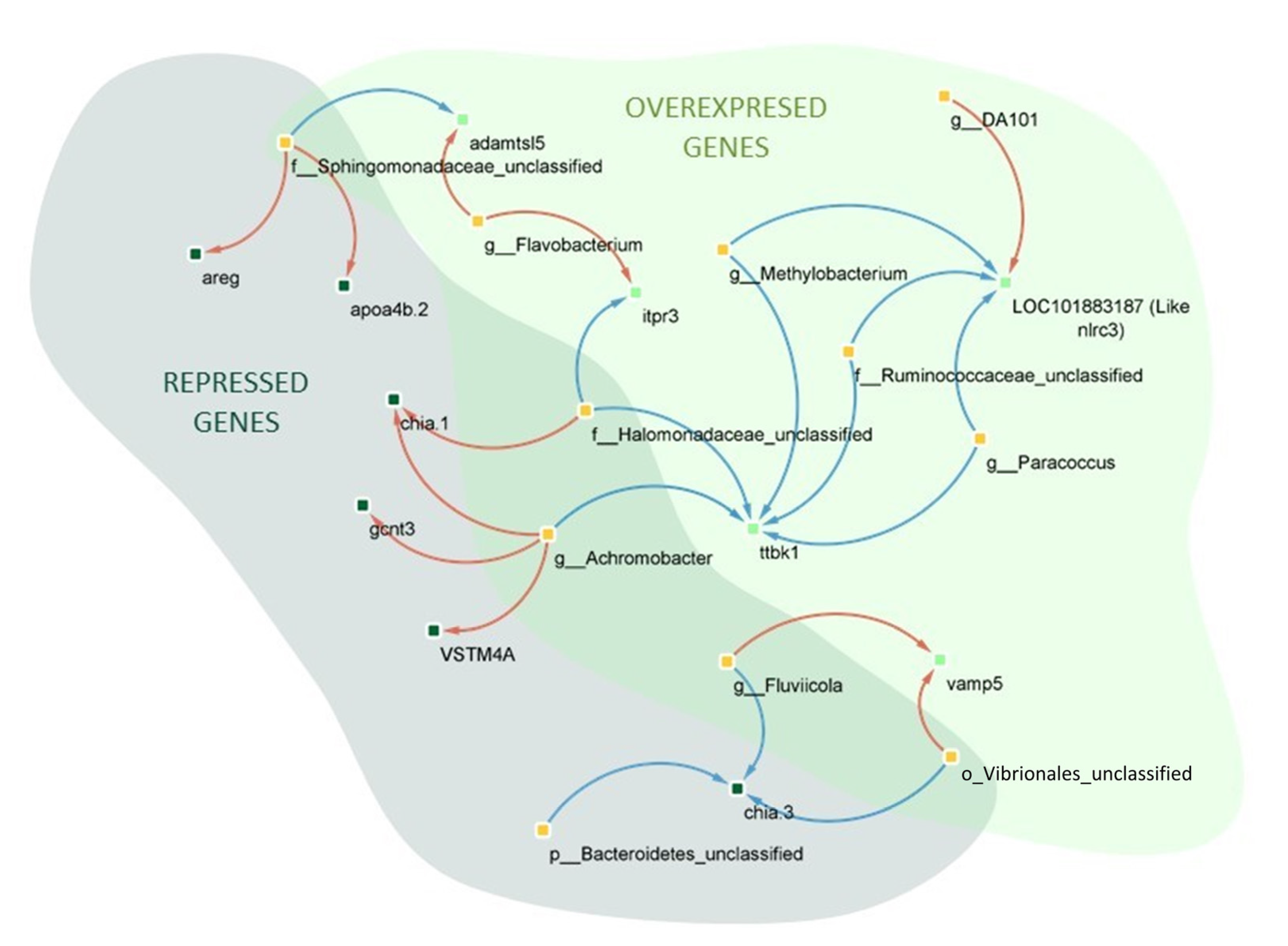 Animals 13 00193 g008 Animals 13 00193 g008