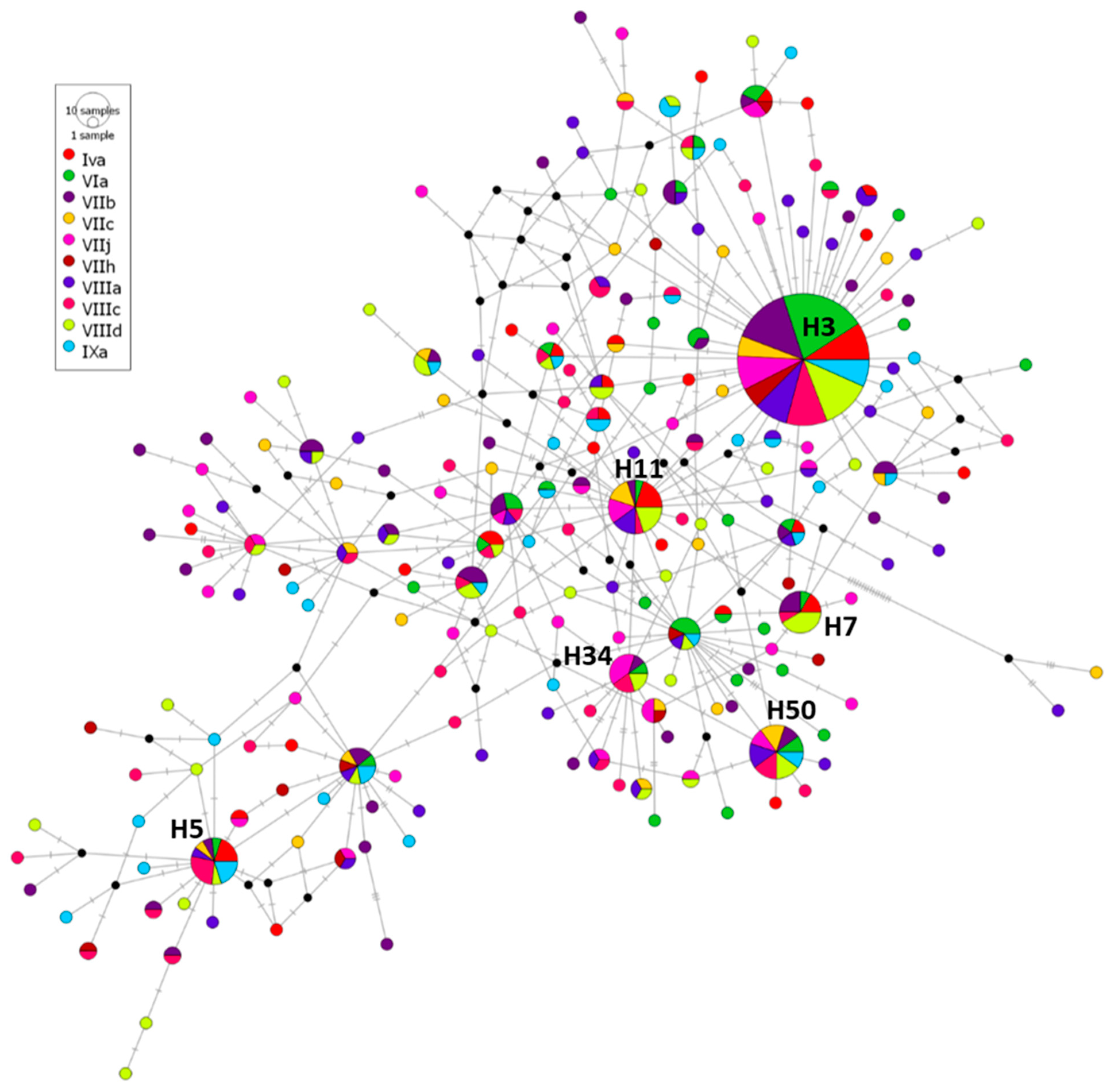 Animals 13 00197 g002 Animals 13 00197 g002