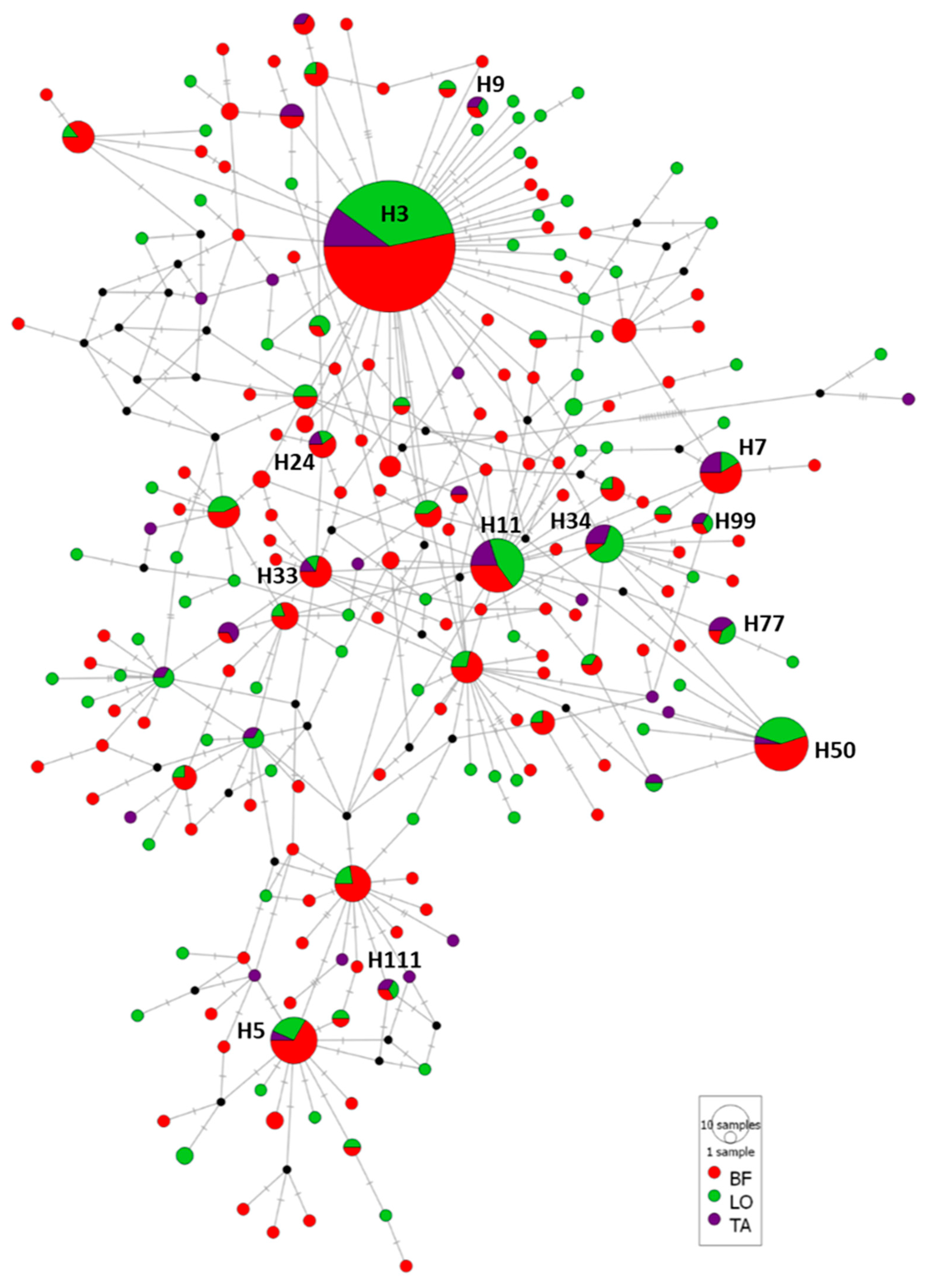 Animals 13 00197 g003 Animals 13 00197 g003