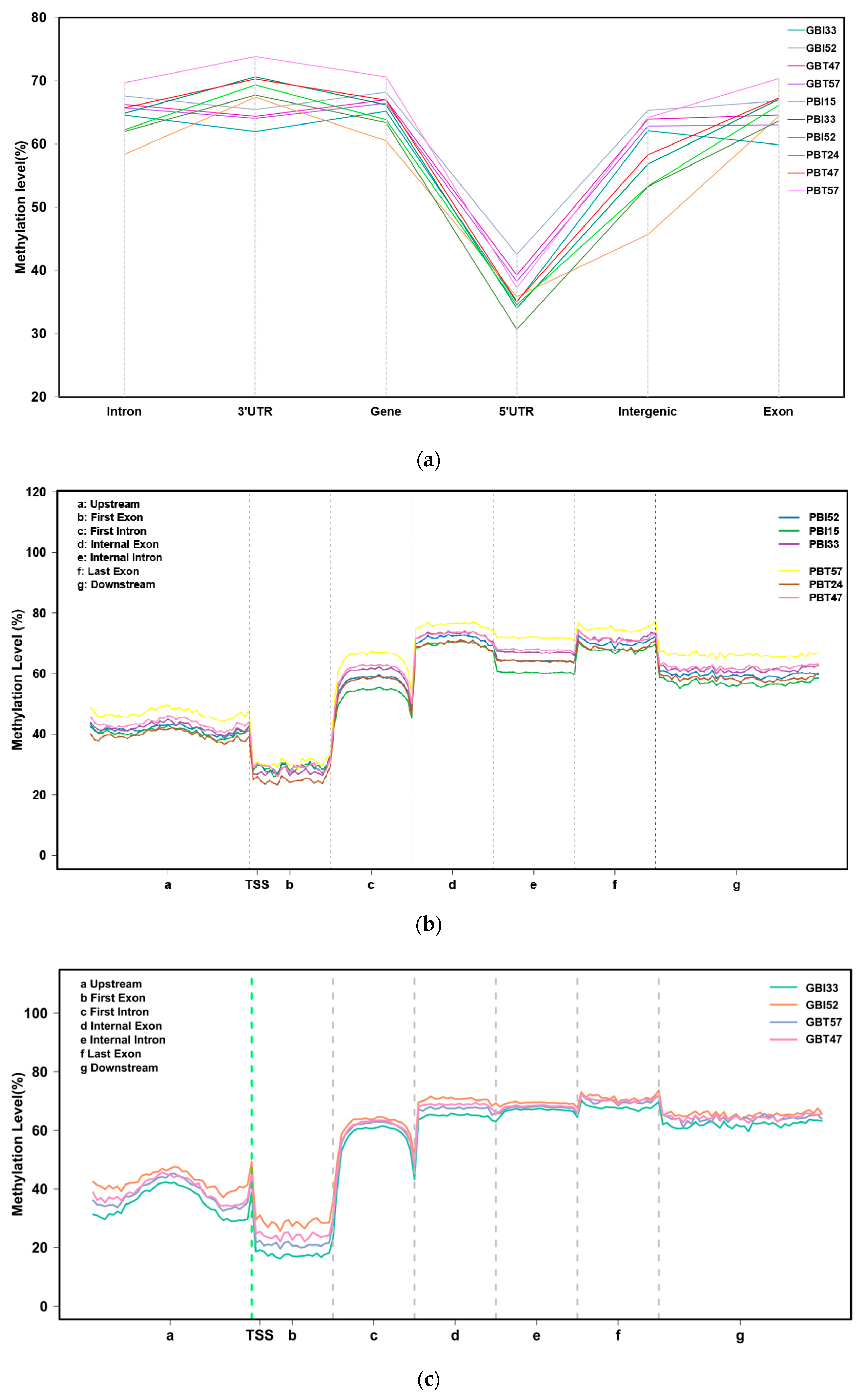 Animals 13 00203 g002 Animals 13 00203 g002