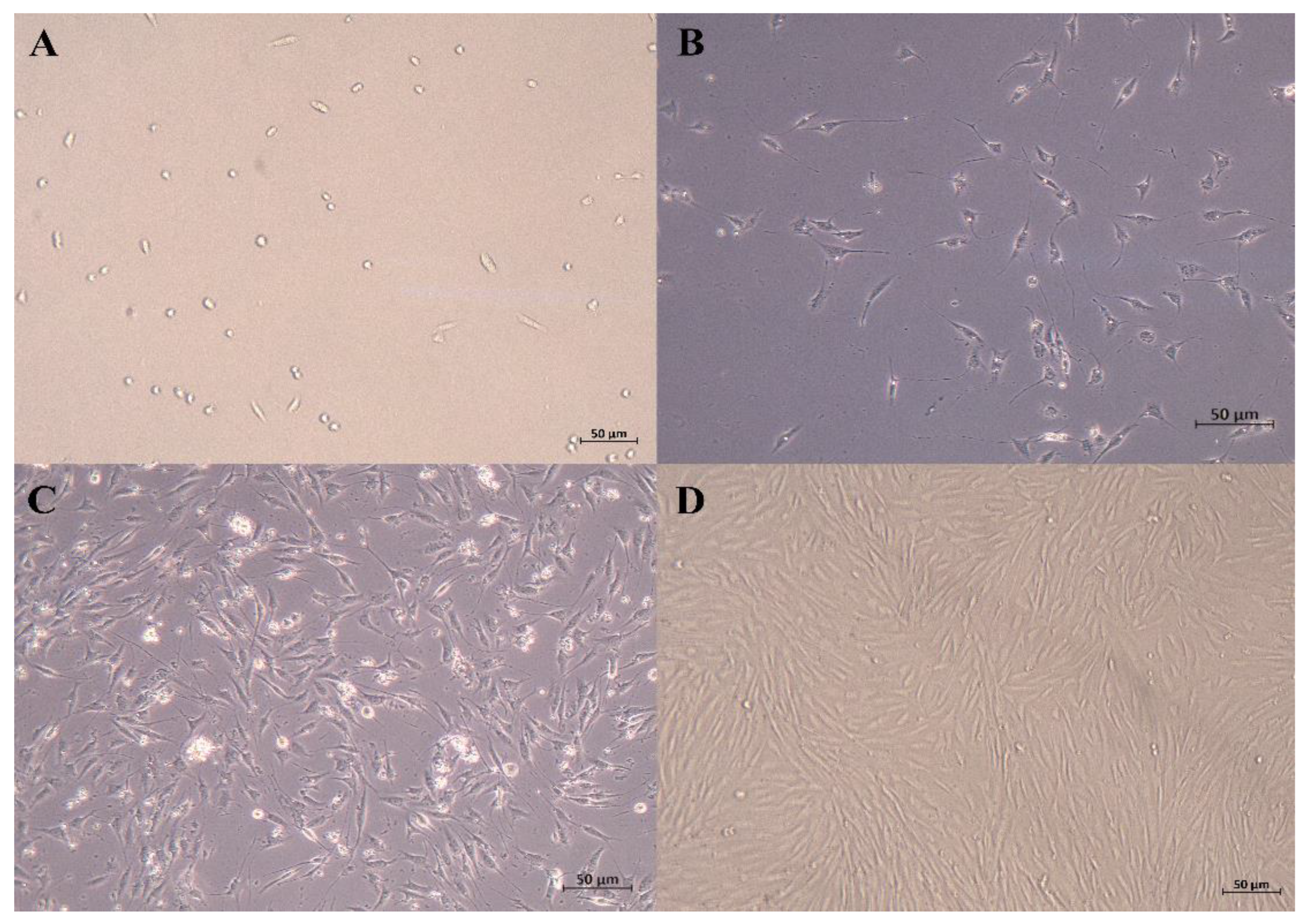 Animals 13 00208 g001 Animals 13 00208 g001