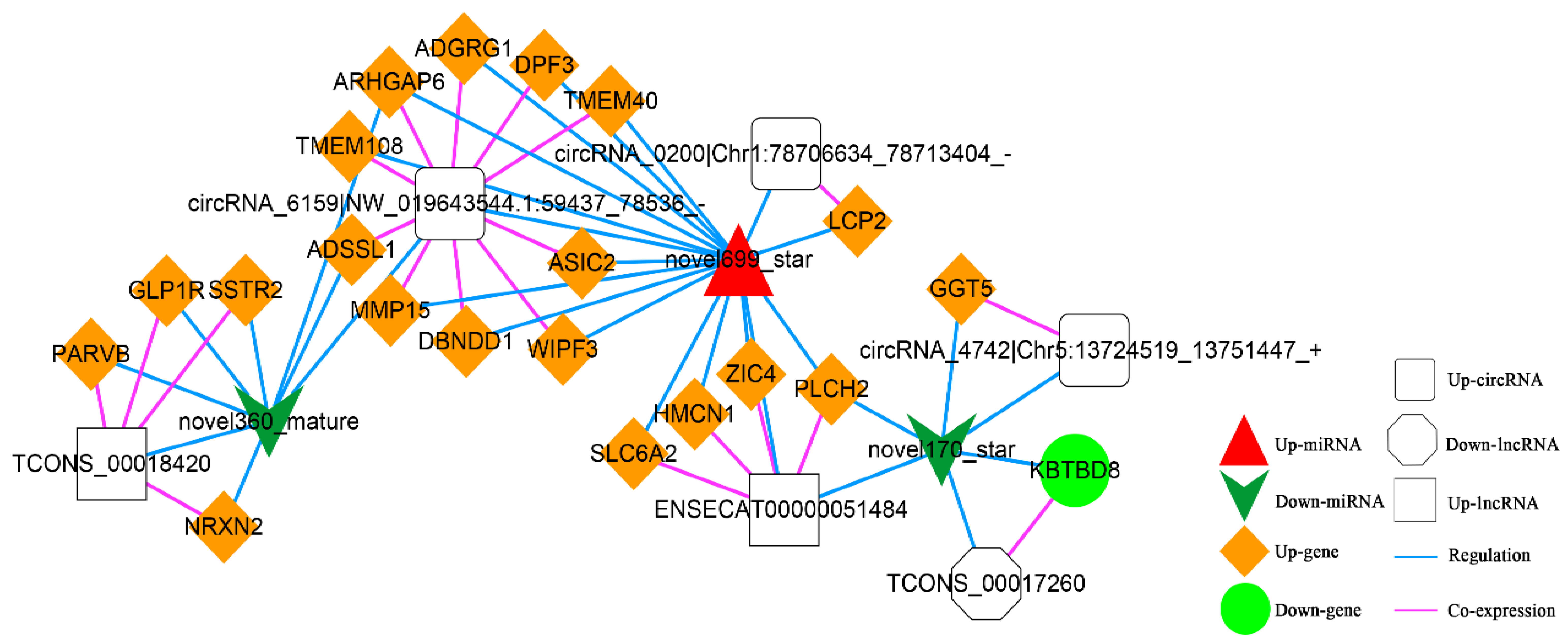 Animals 13 00208 g013 Animals 13 00208 g013
