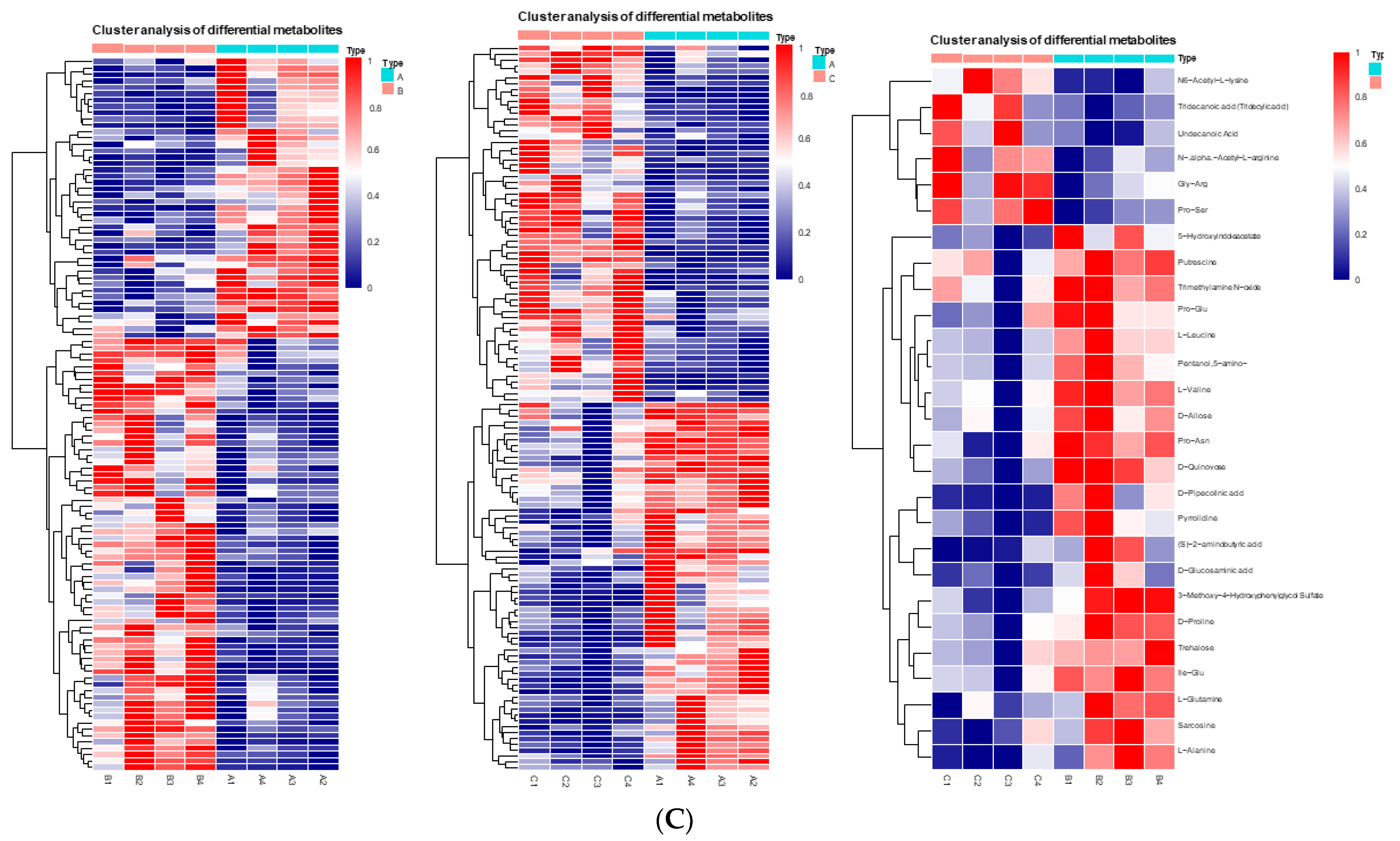 Animals 13 00217 g002b