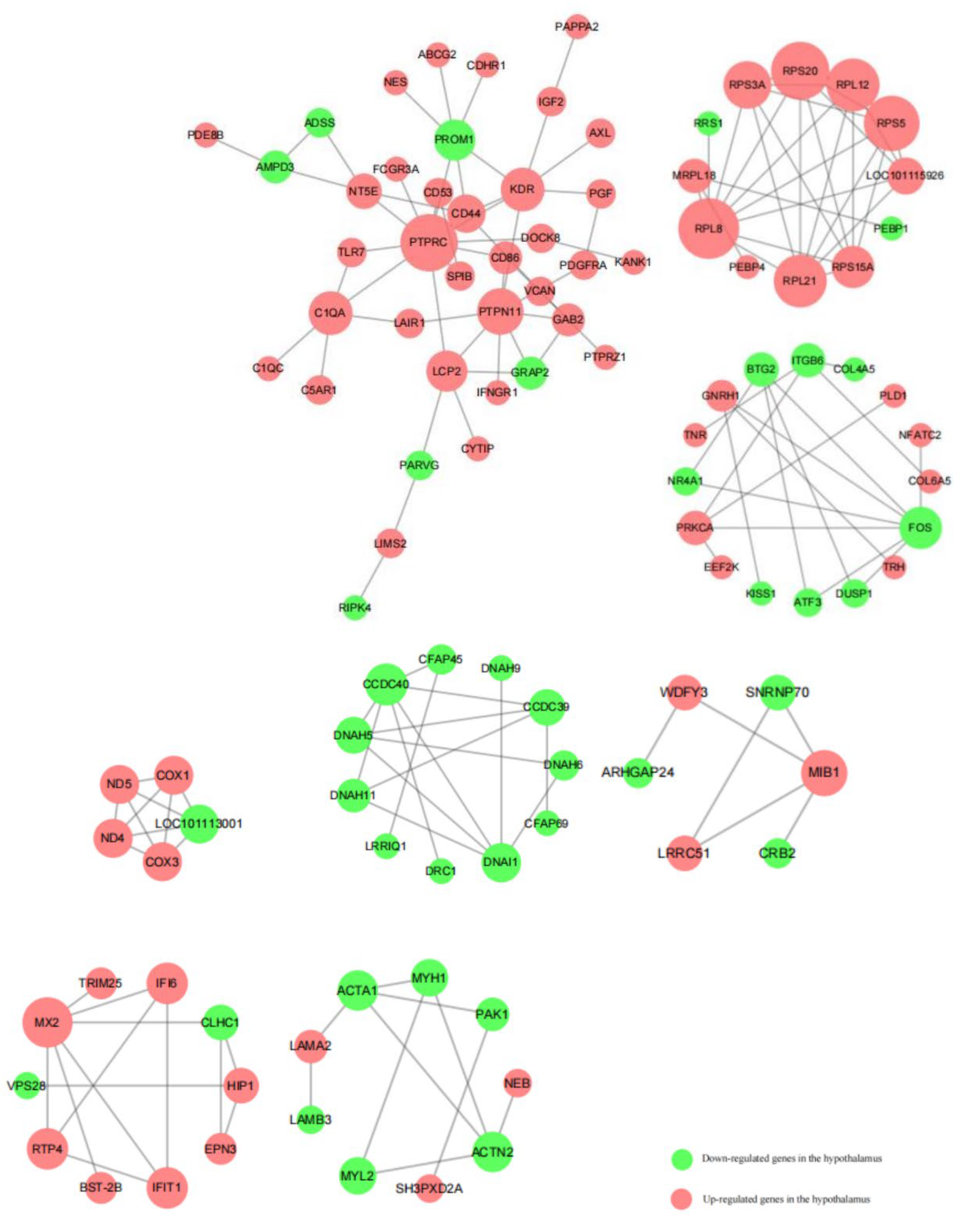 Animals 13 00217 g010