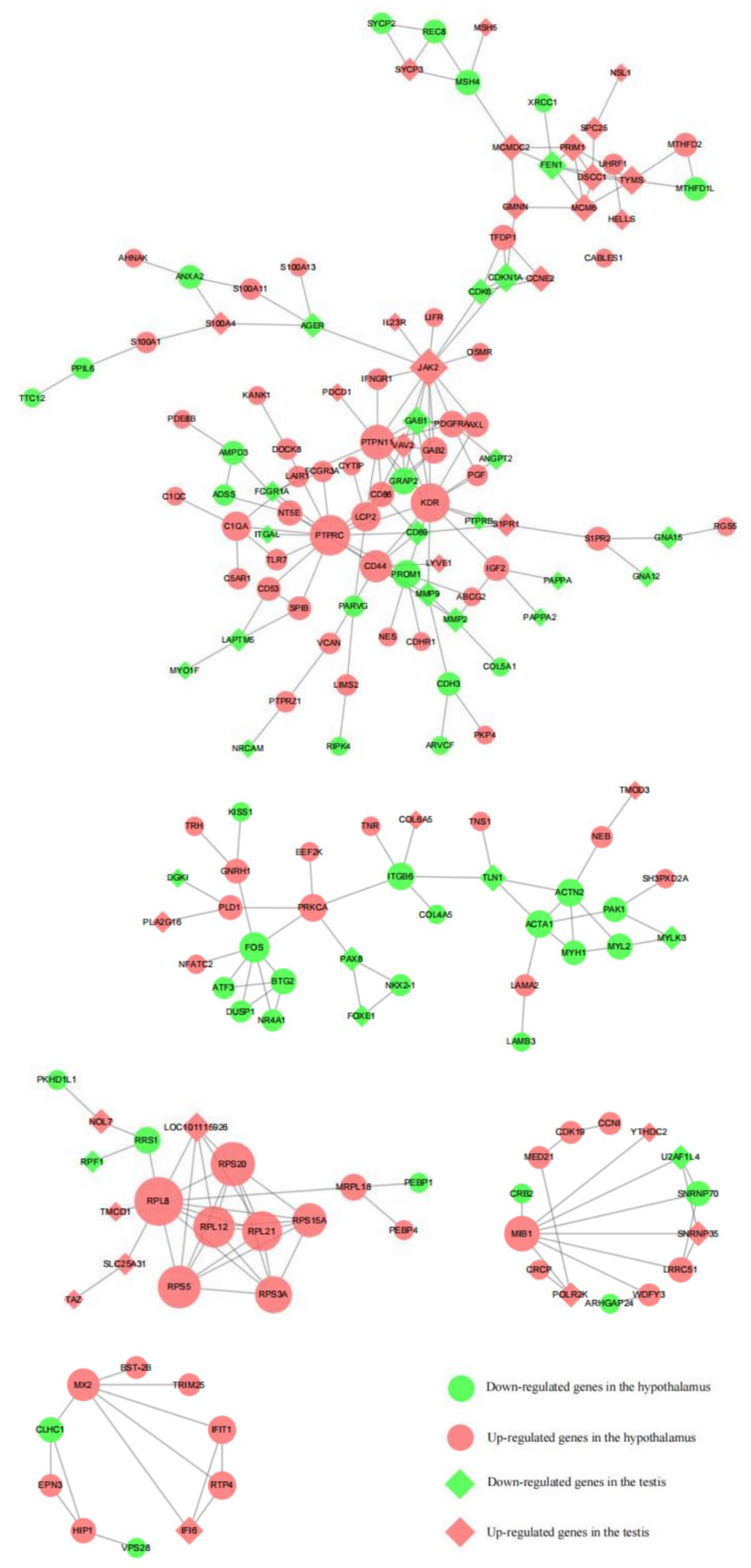 Animals 13 00217 g012