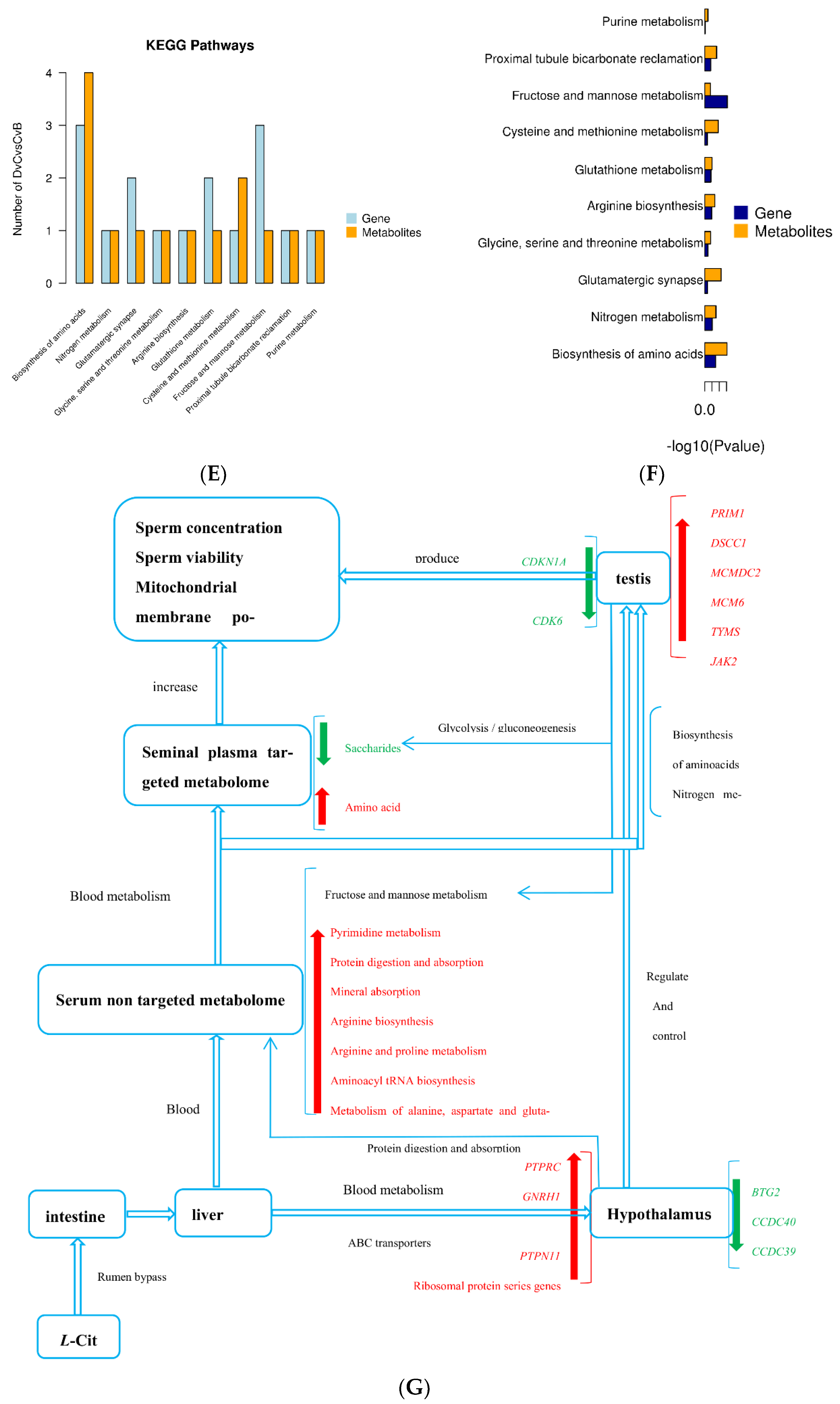Animals 13 00217 g013b