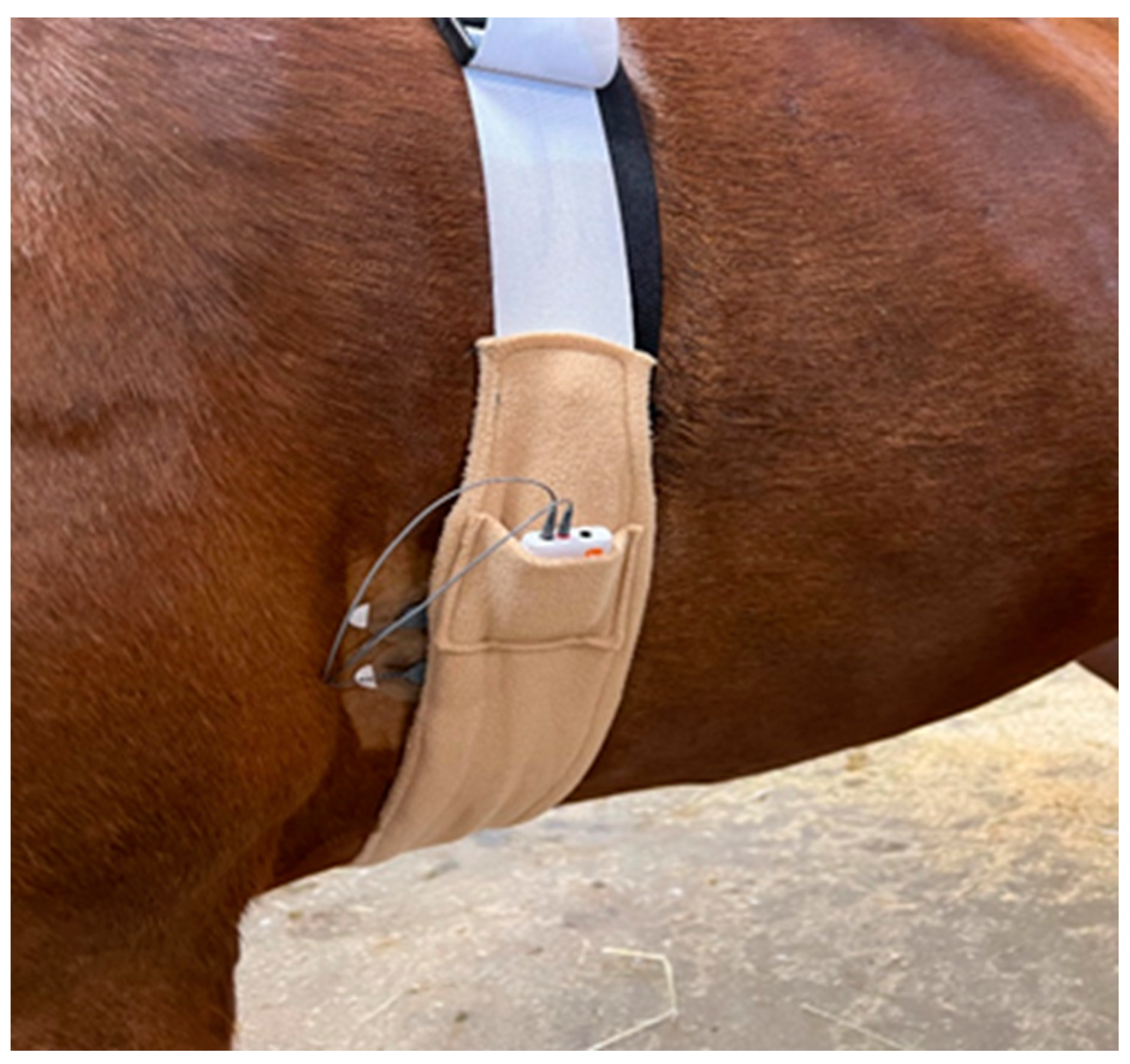 Animals 13 00229 g001 Animals 13 00229 g001