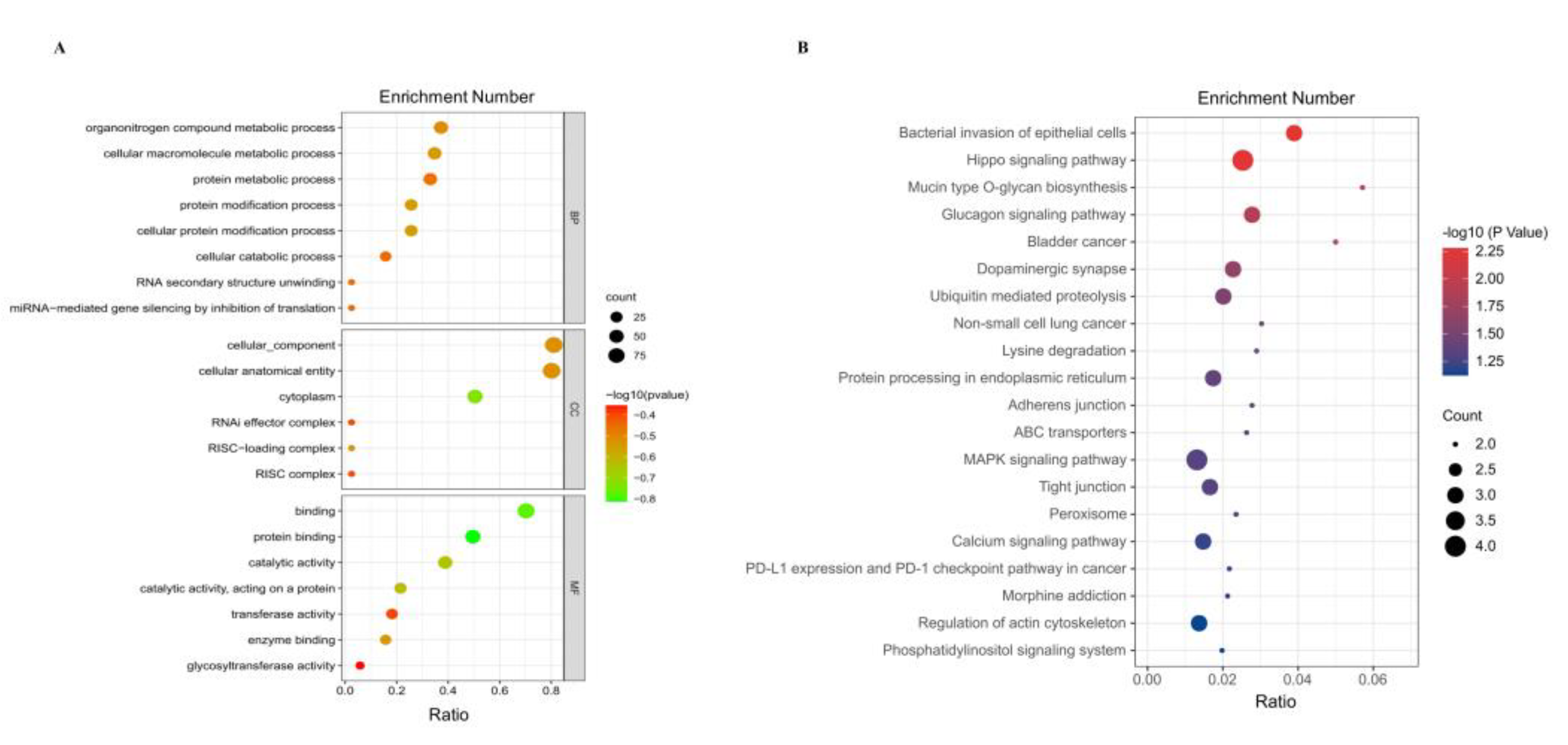 Animals 13 00236 g003 Animals 13 00236 g003