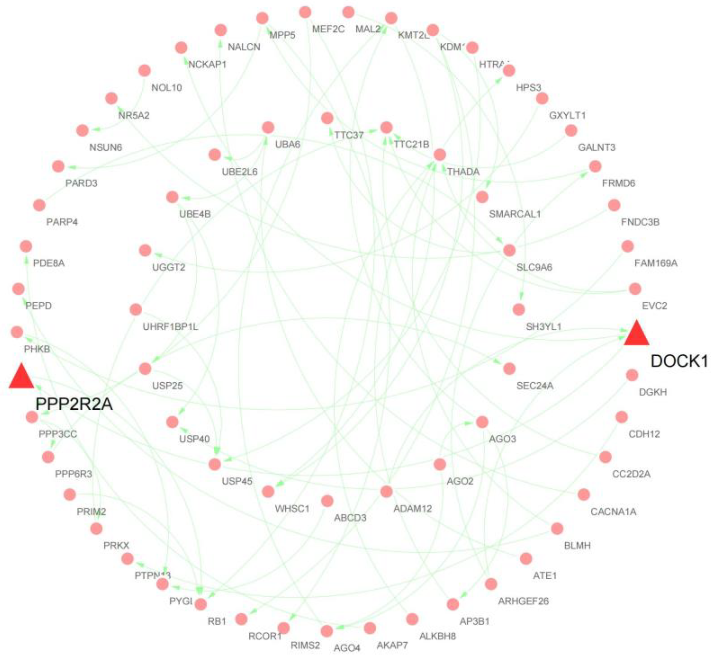 Animals 13 00236 g004 Animals 13 00236 g004