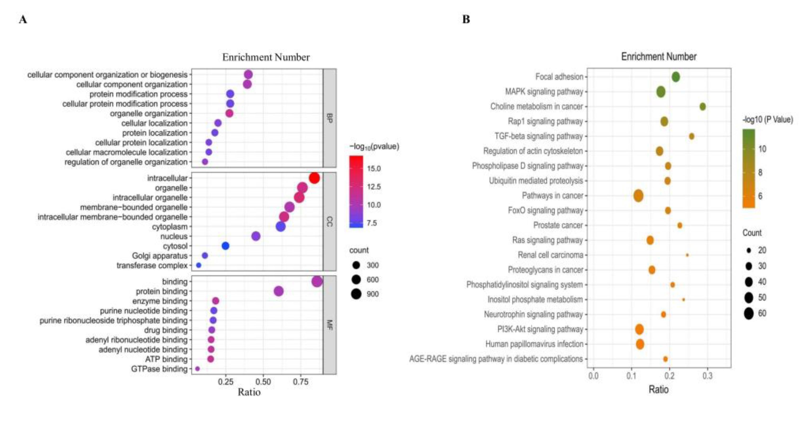 Animals 13 00236 g008 Animals 13 00236 g008
