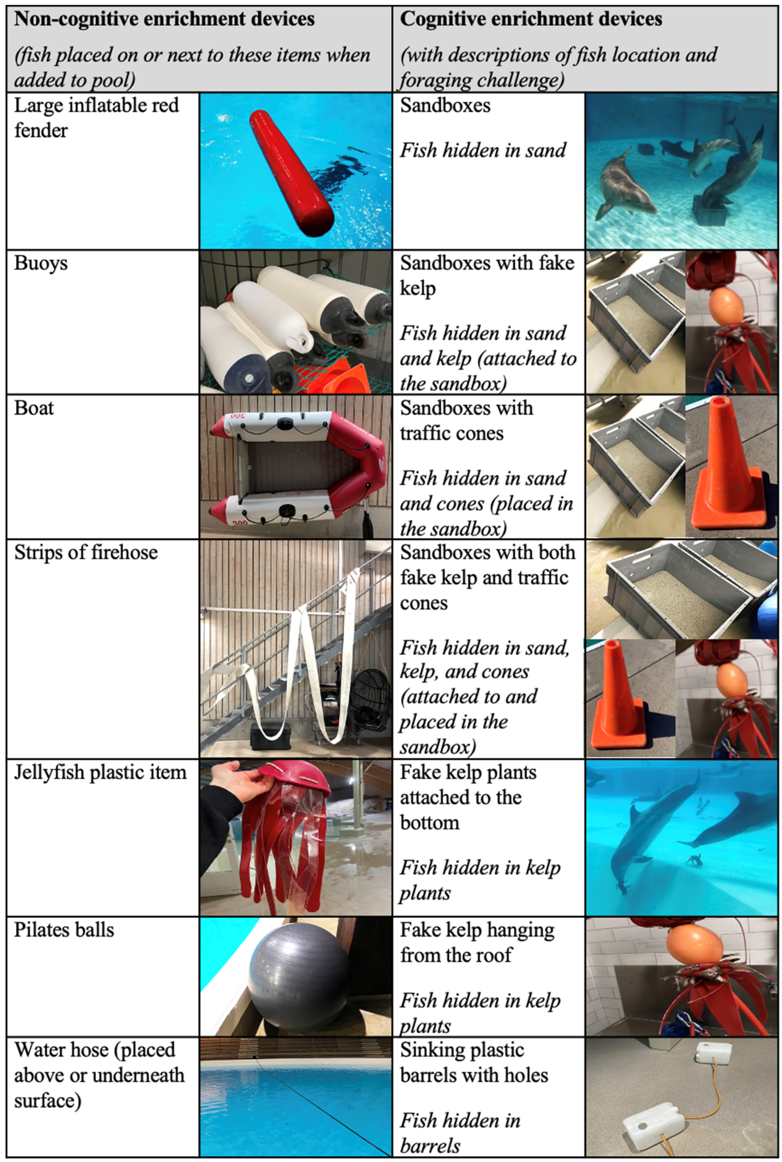 Animals 13 00238 g001a Animals 13 00238 g001a