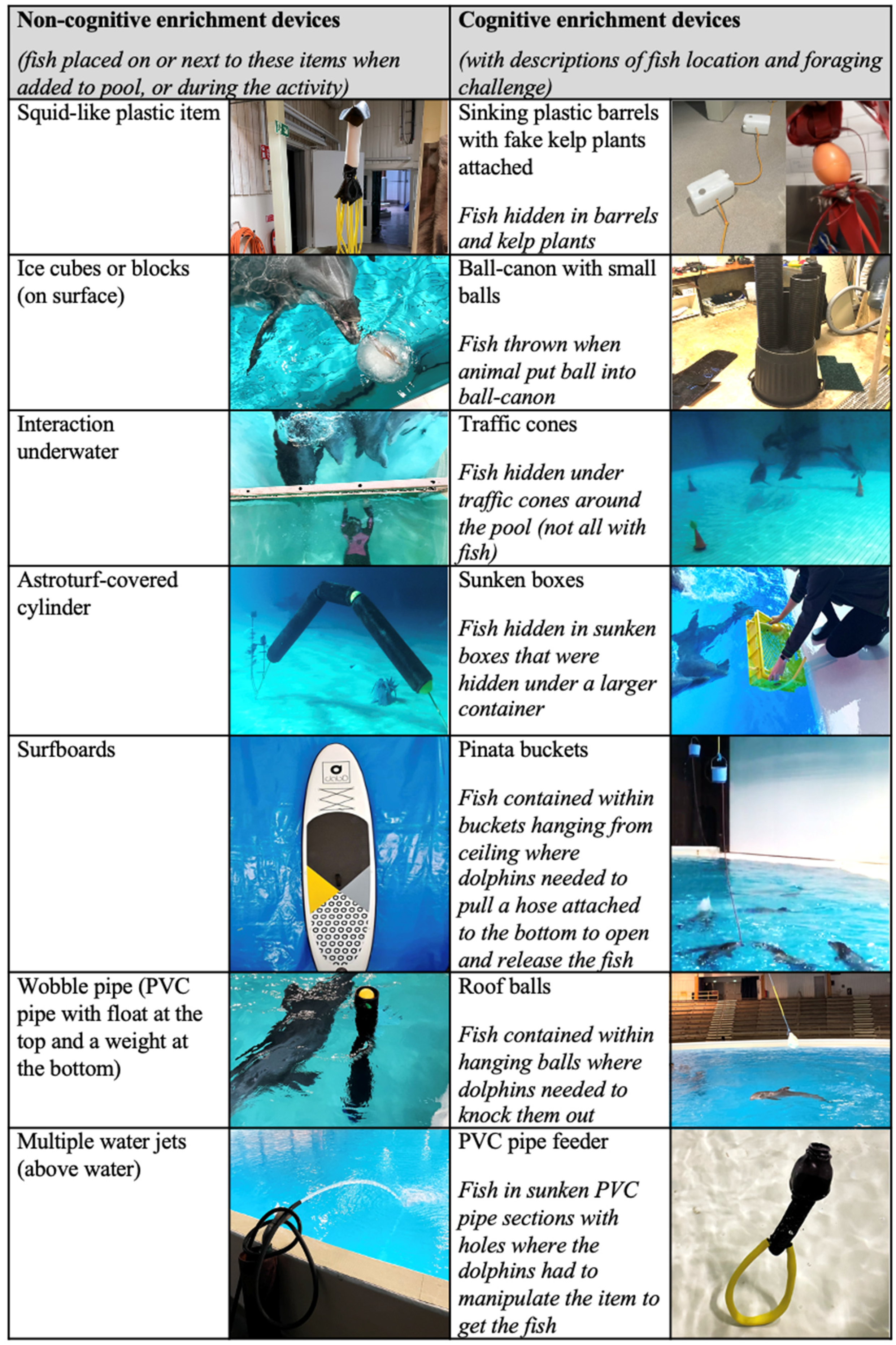 Animals 13 00238 g001b Animals 13 00238 g001b