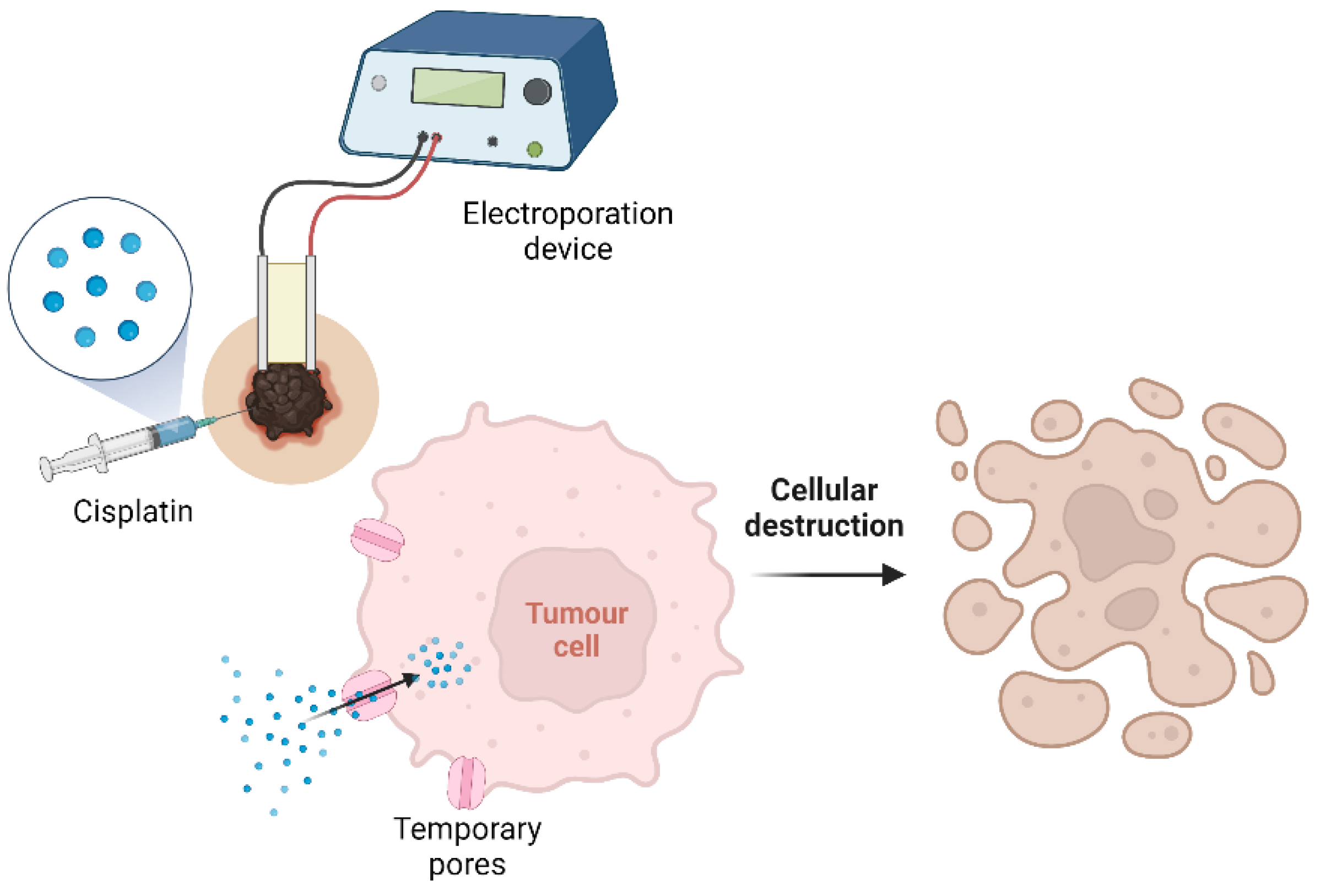 Animals 13 00247 g003 Animals 13 00247 g003