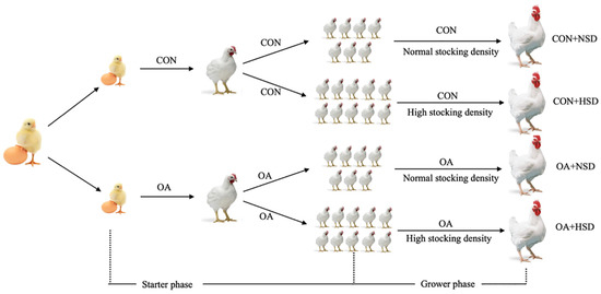 Animals | Free Full-Text | Evaluation of Liquid Organic Acids on the Performance, Chyme pH, Nutrient Utilization, and Gut Microbiota in Broilers under High Stocking Density Animals | Free Full-Text | Evaluation of Liquid Organic Acids on the Performance, Chyme pH, Nutrient Utilization, and Gut Microbiota in Broilers under High Stocking Density
