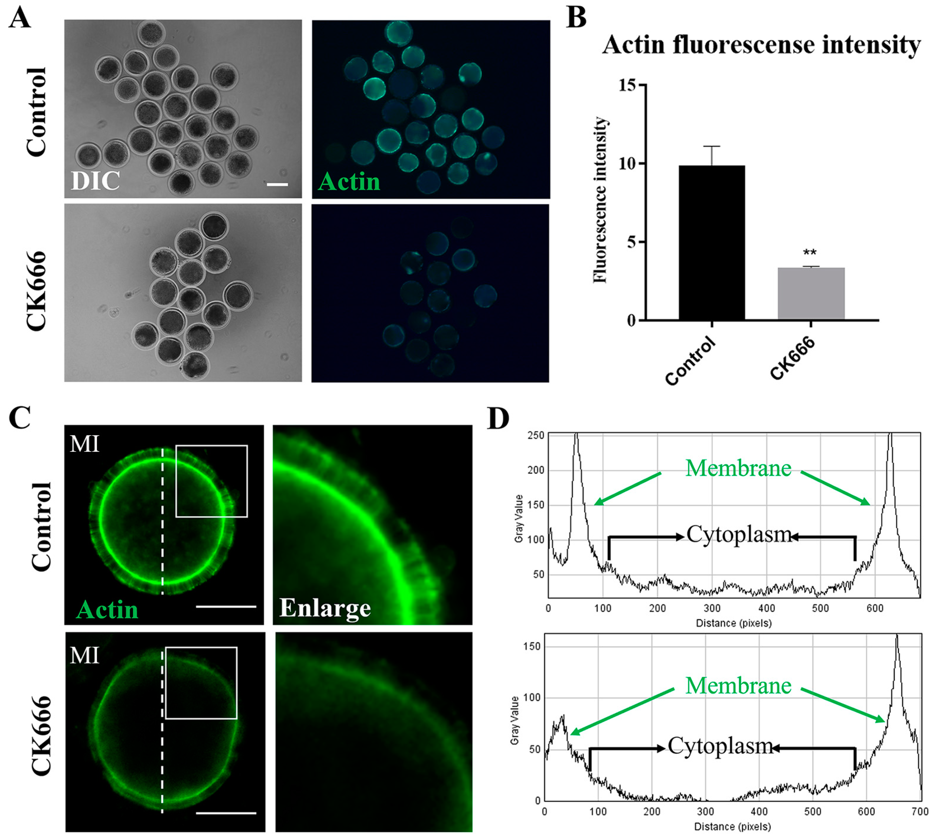 Animals 13 00263 g003 Animals 13 00263 g003