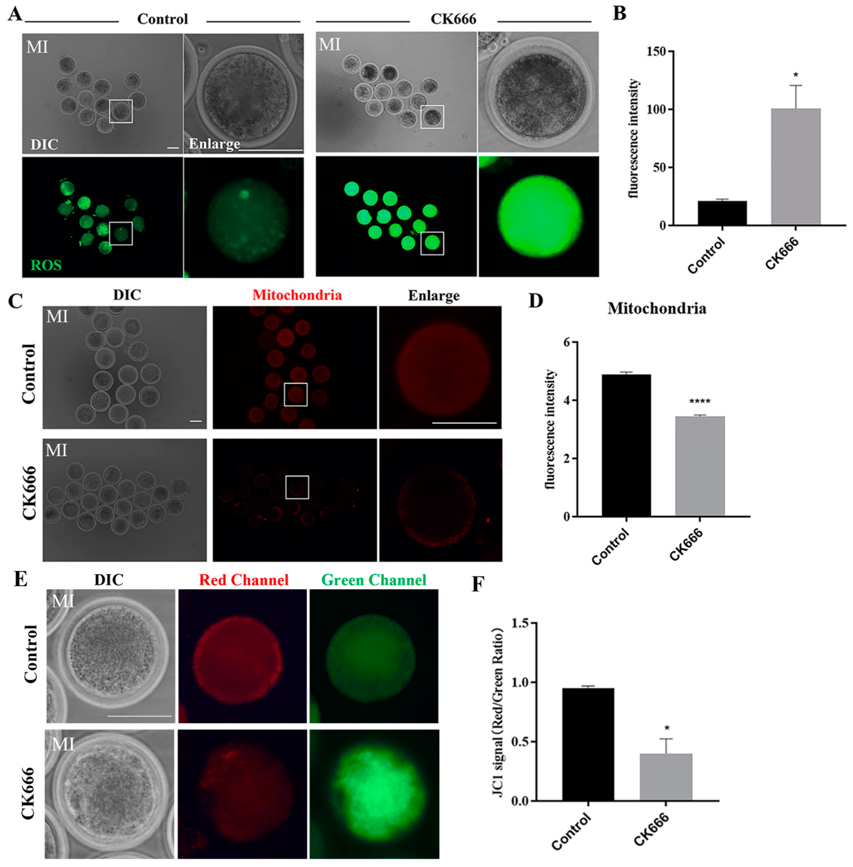 Animals 13 00263 g005 Animals 13 00263 g005