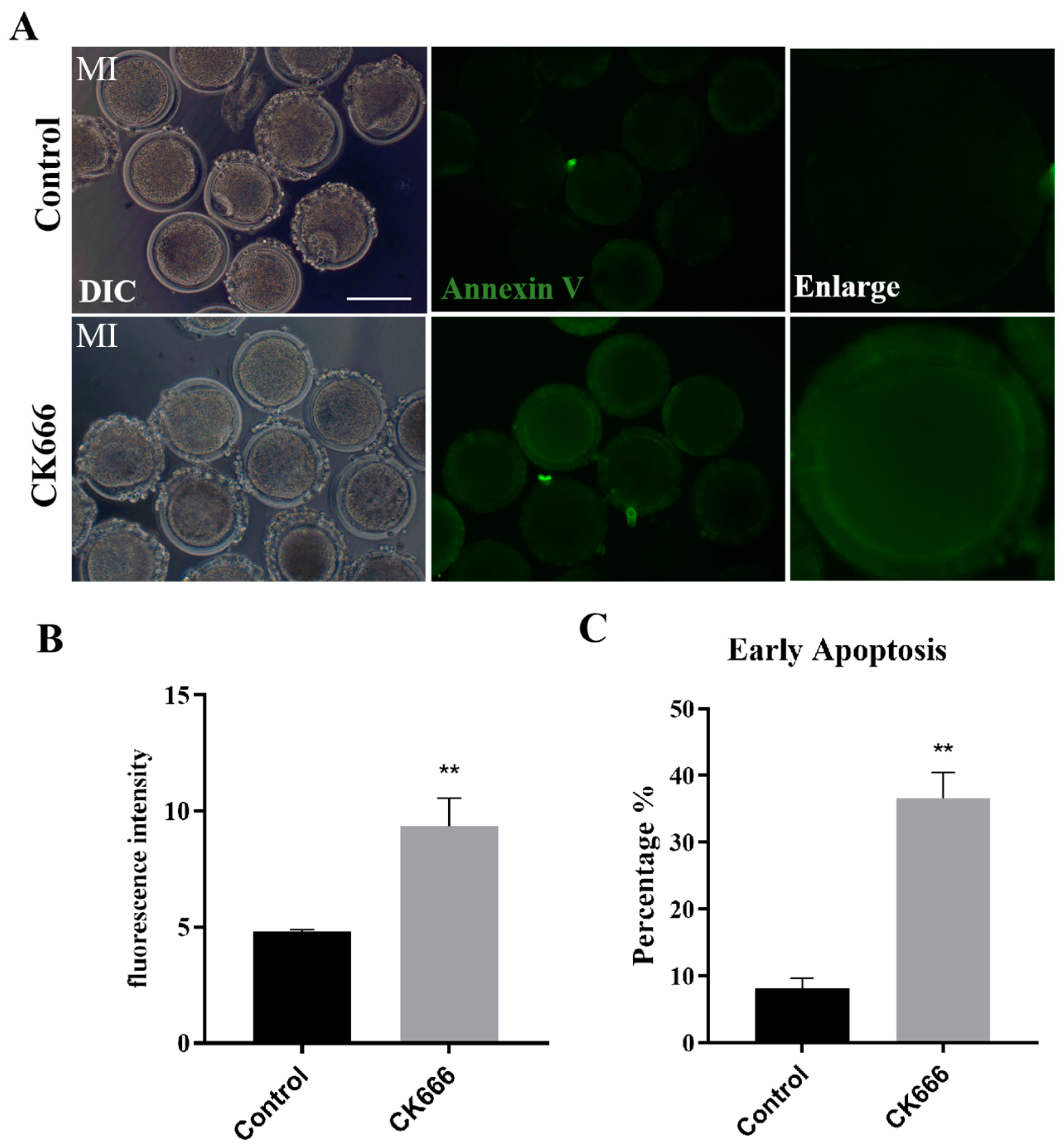 Animals 13 00263 g006 Animals 13 00263 g006