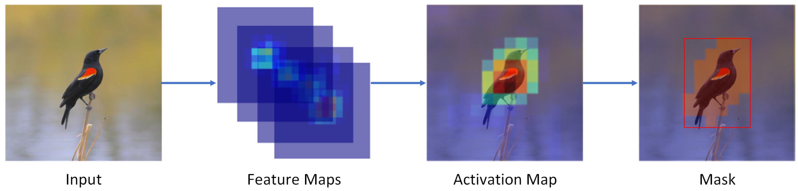 Animals 13 00264 g002