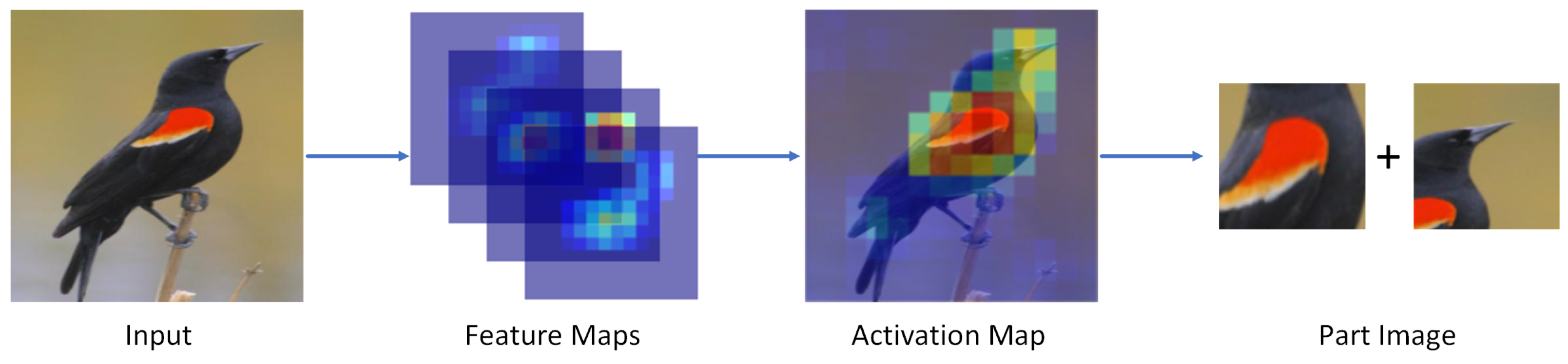 Animals 13 00264 g003