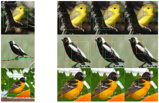 A Fine-Grained Bird Classification Method Based on Attention and ...