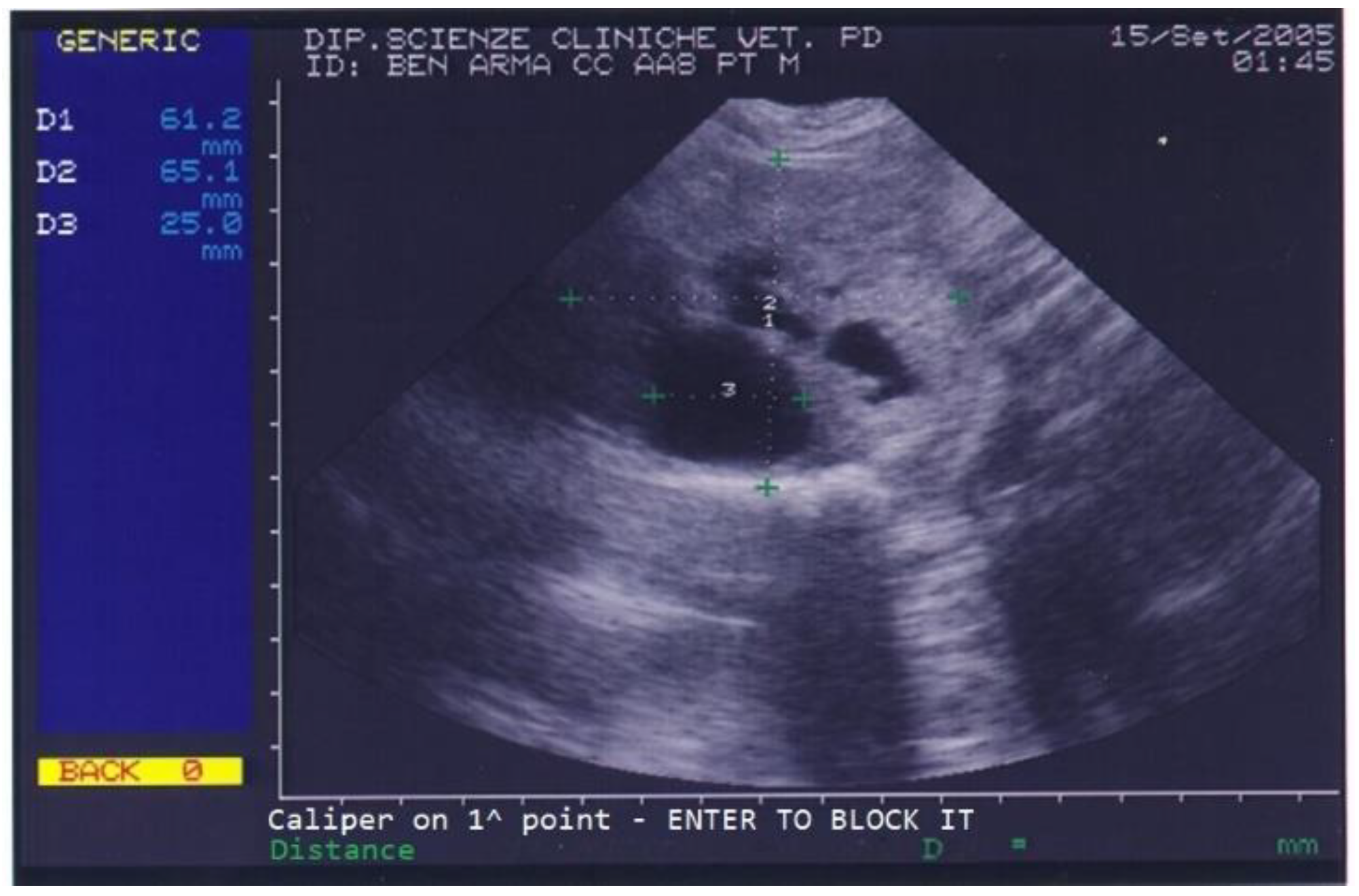 Animals 13 00265 g002