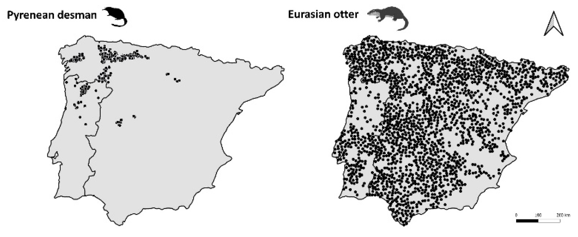 Animals 13 00274 g0a1 Animals 13 00274 g0a1