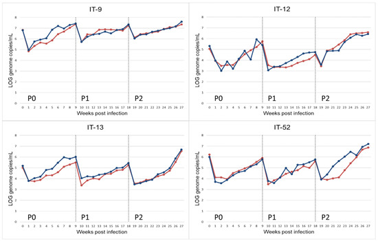 In Vitro Replication of Swine Hepatitis E Virus (HEV): Production of ...