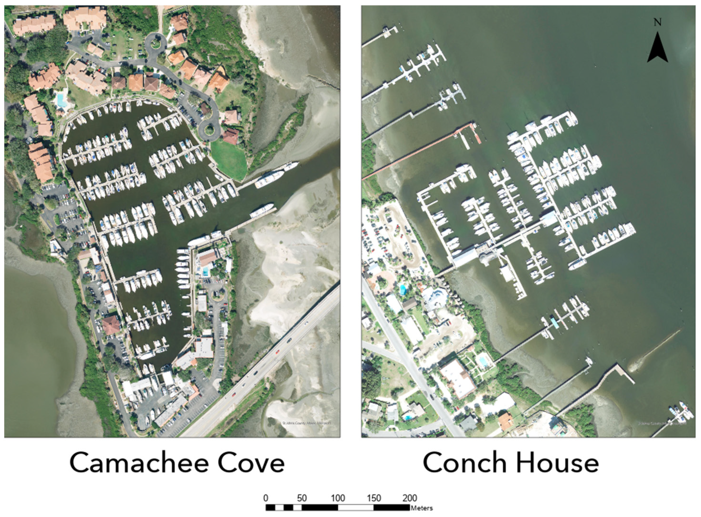 Animals 13 00279 g002 Animals 13 00279 g002