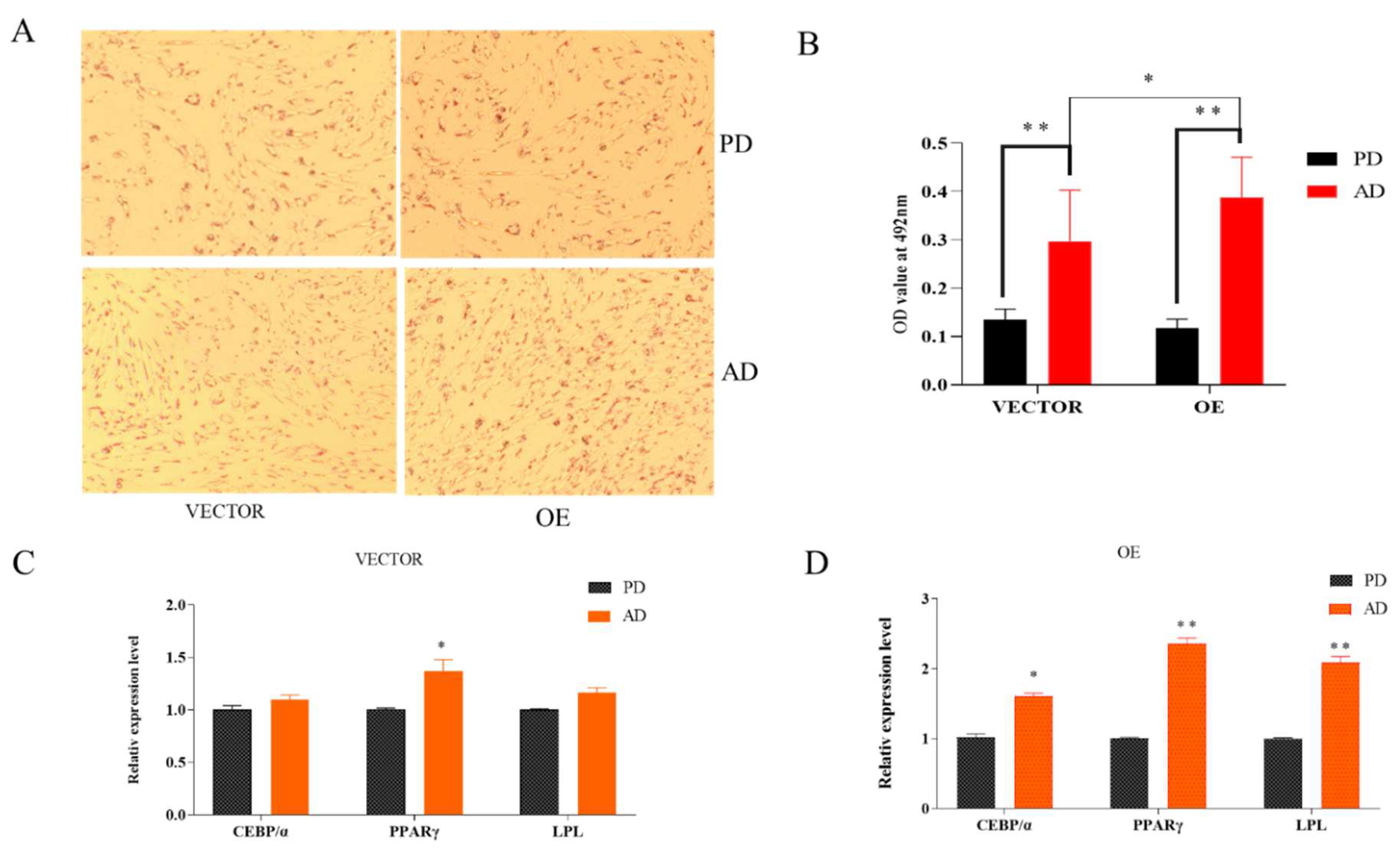 Animals 13 00281 g003 Animals 13 00281 g003