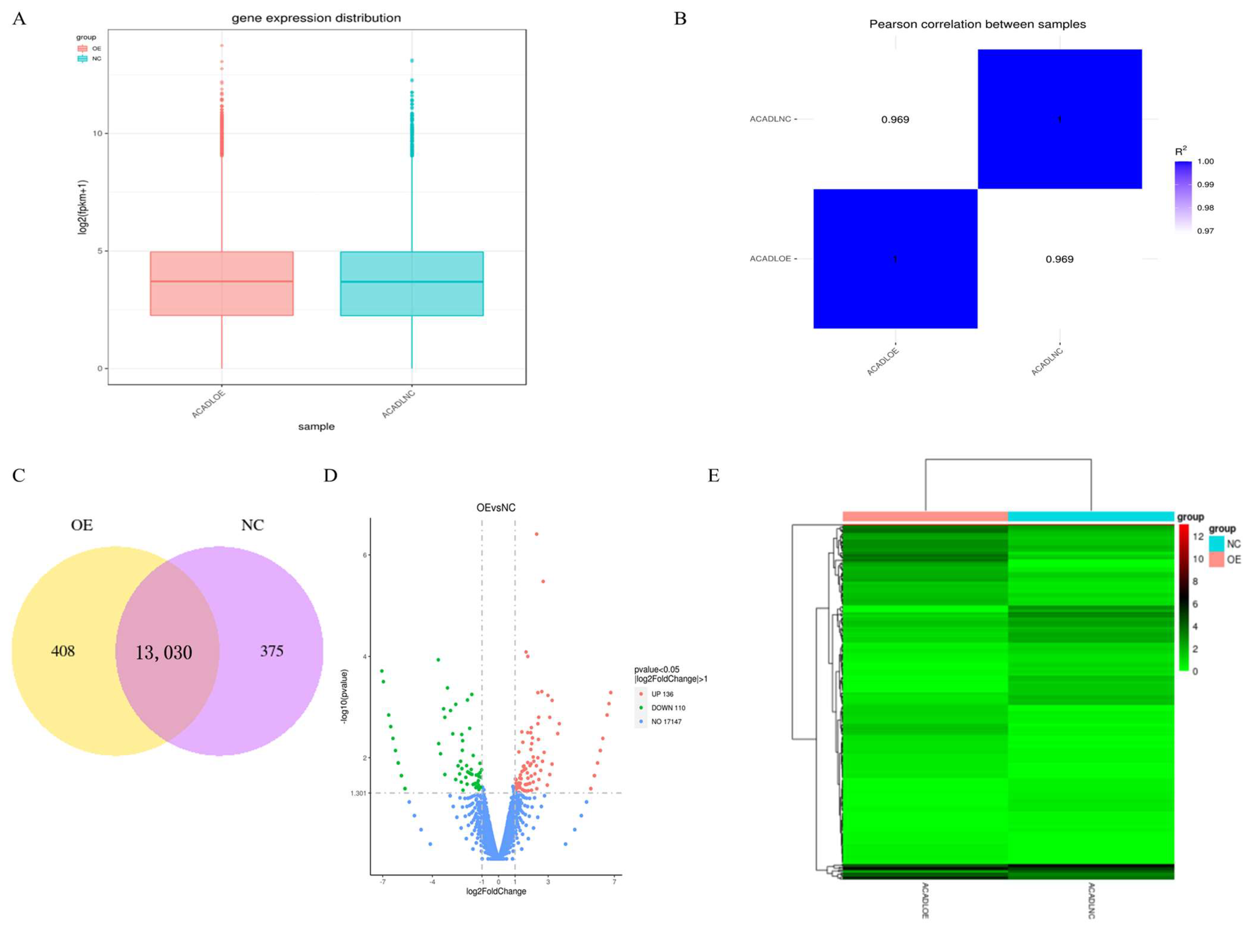 Animals 13 00281 g004 Animals 13 00281 g004