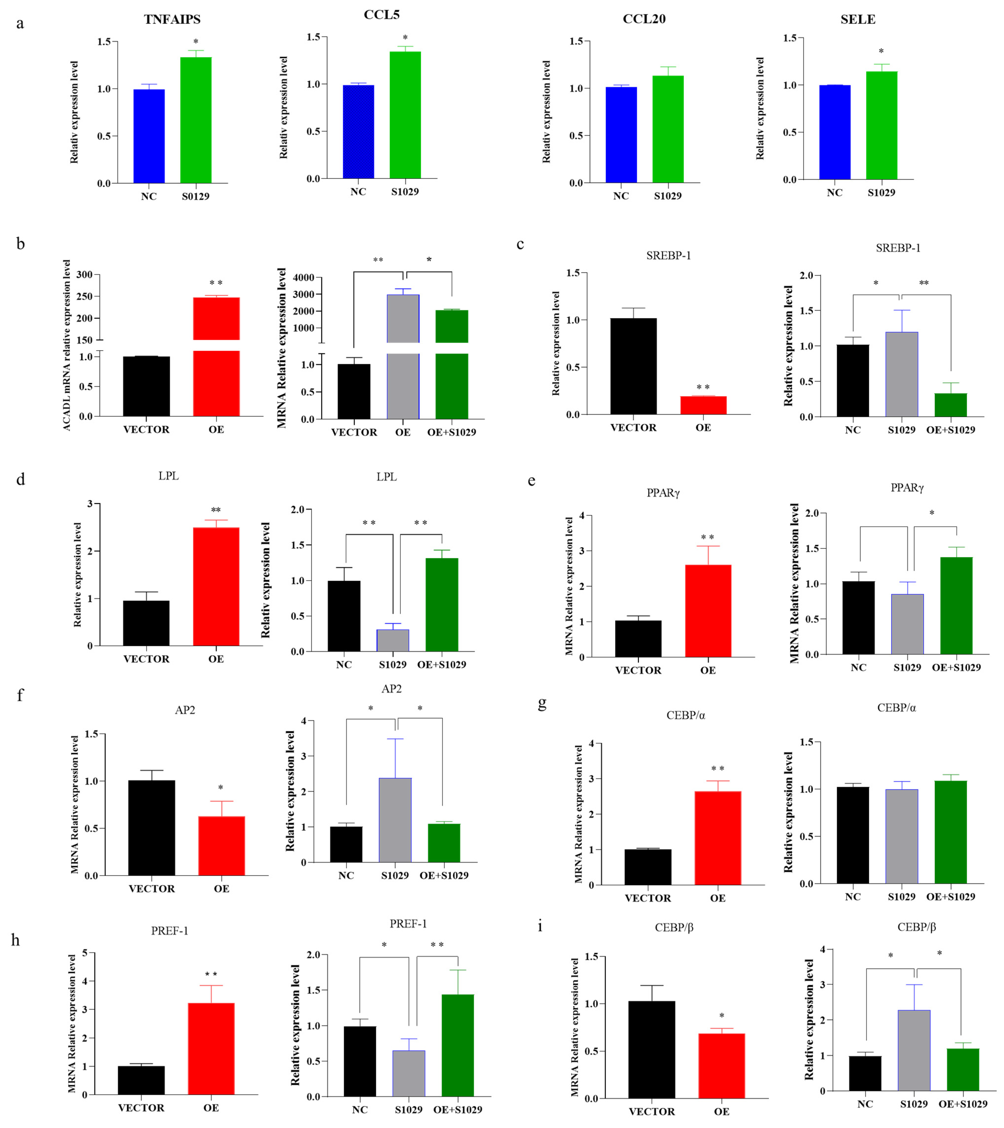 Animals 13 00281 g007 Animals 13 00281 g007