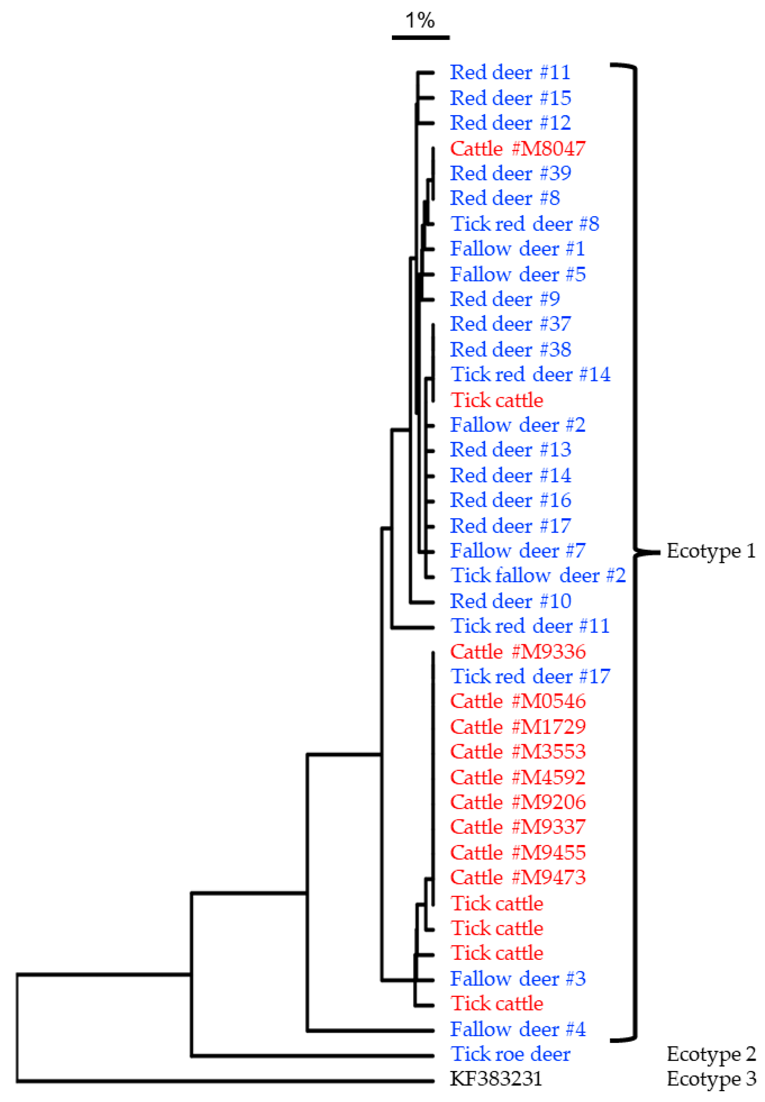 Animals 13 00286 g003 Animals 13 00286 g003