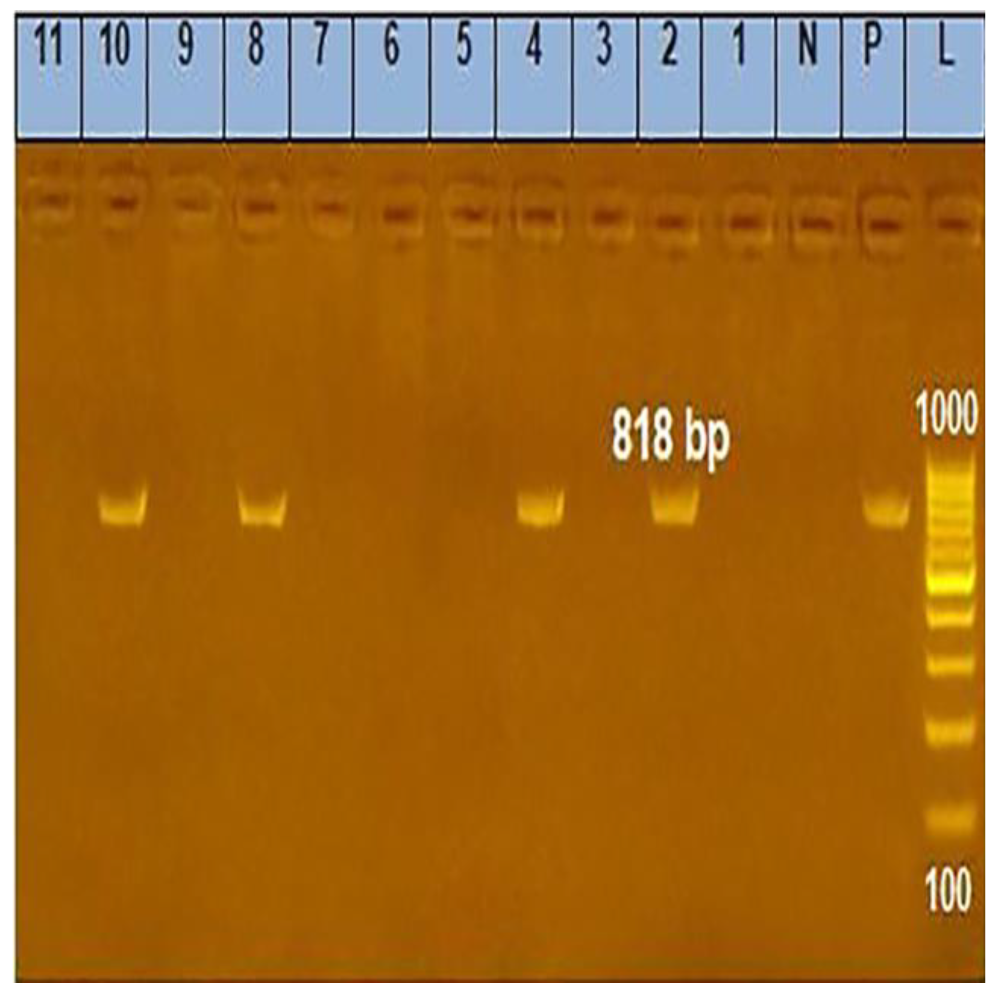 Animals 13 00296 g001