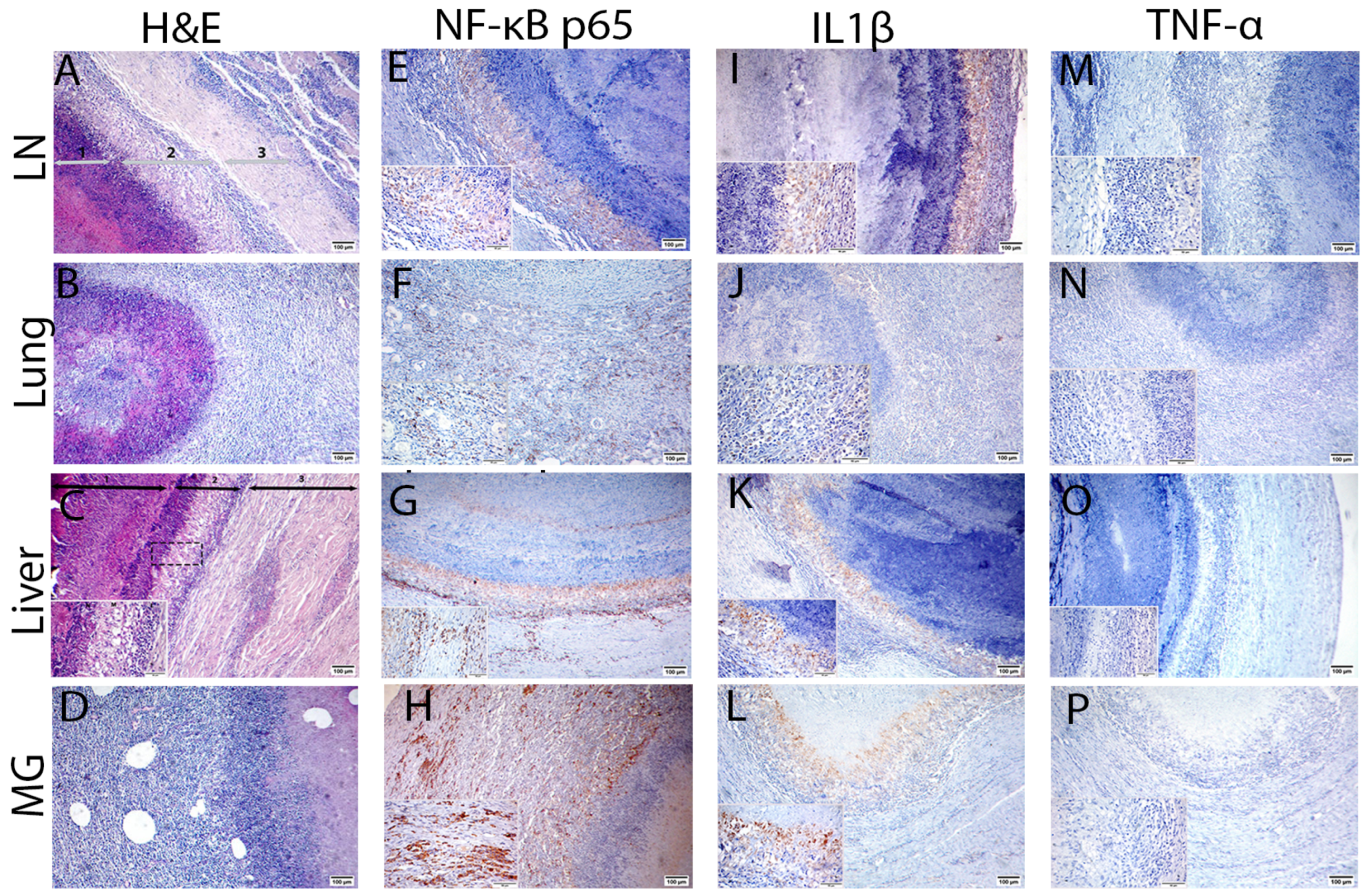 Animals 13 00296 g007