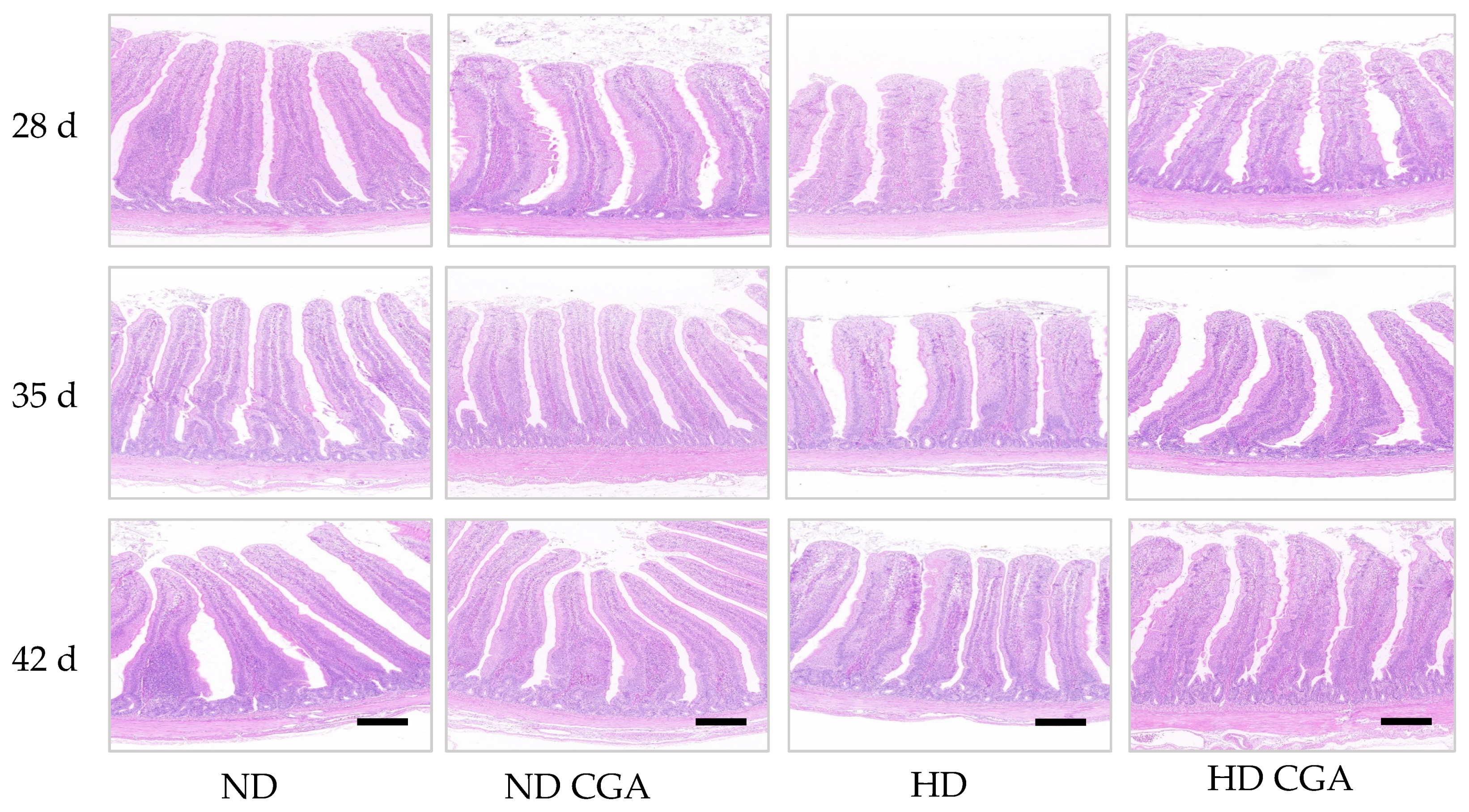 Animals 13 00303 g002 Animals 13 00303 g002