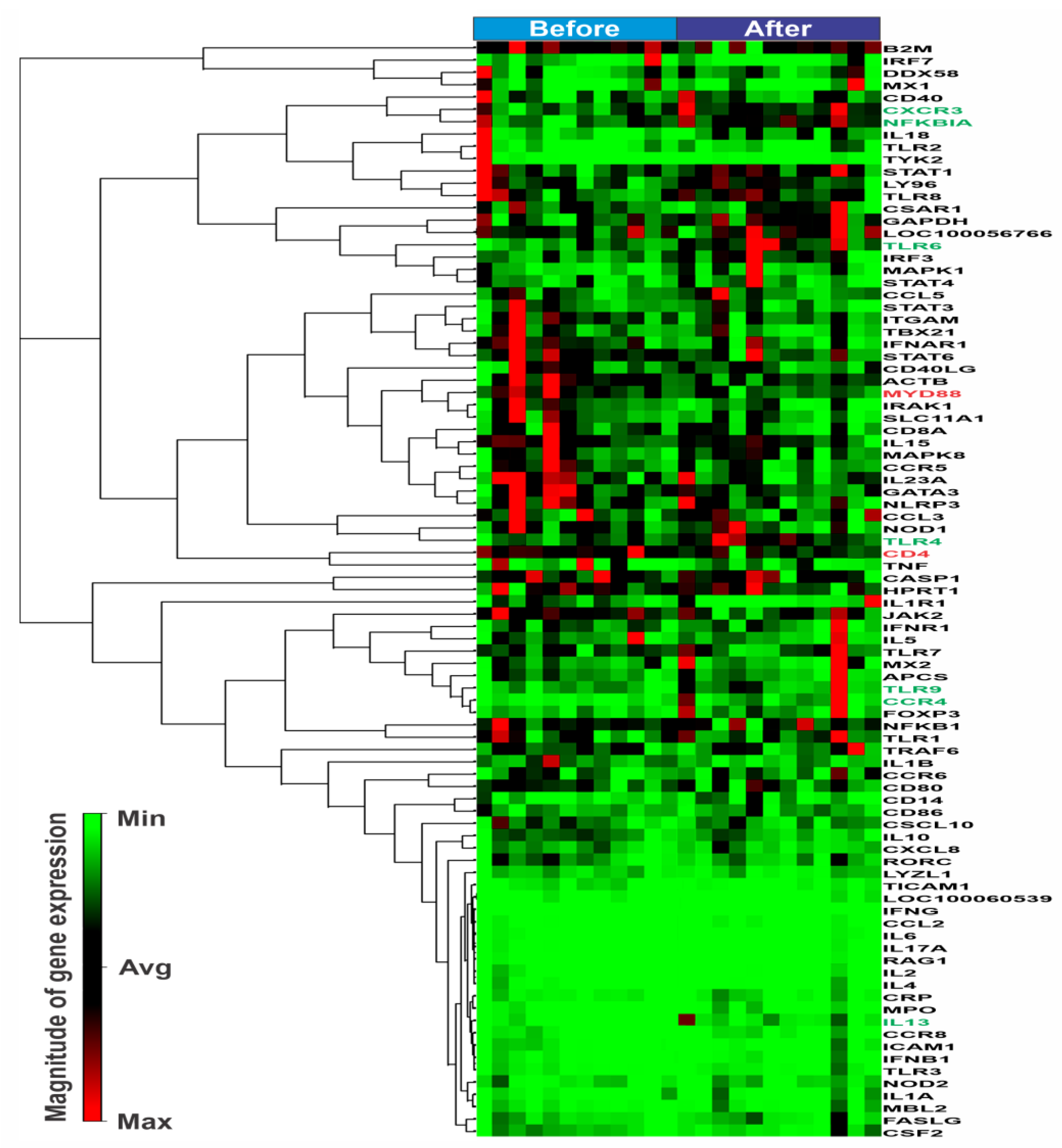 Animals 13 00308 g001 Animals 13 00308 g001