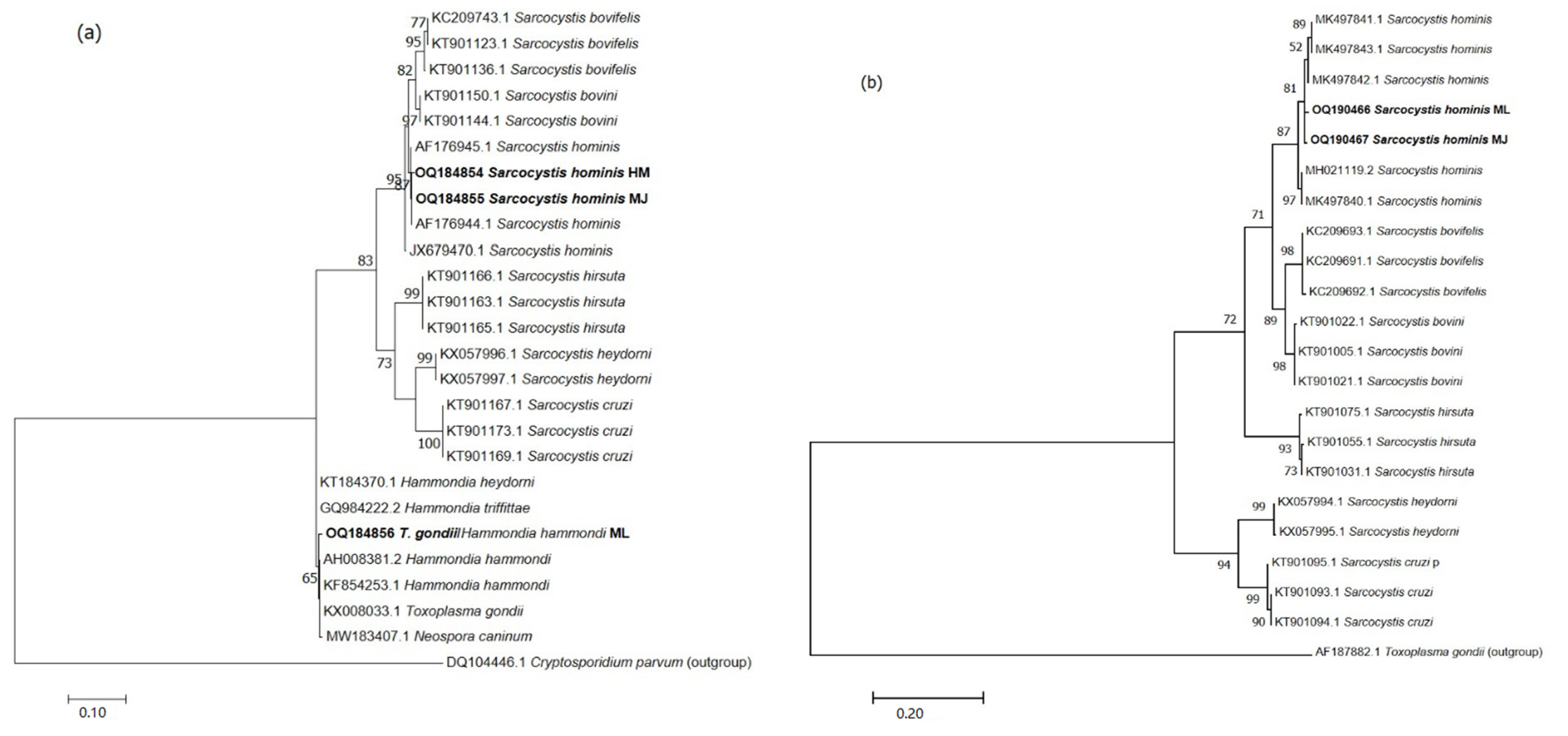 Animals 13 00311 g003