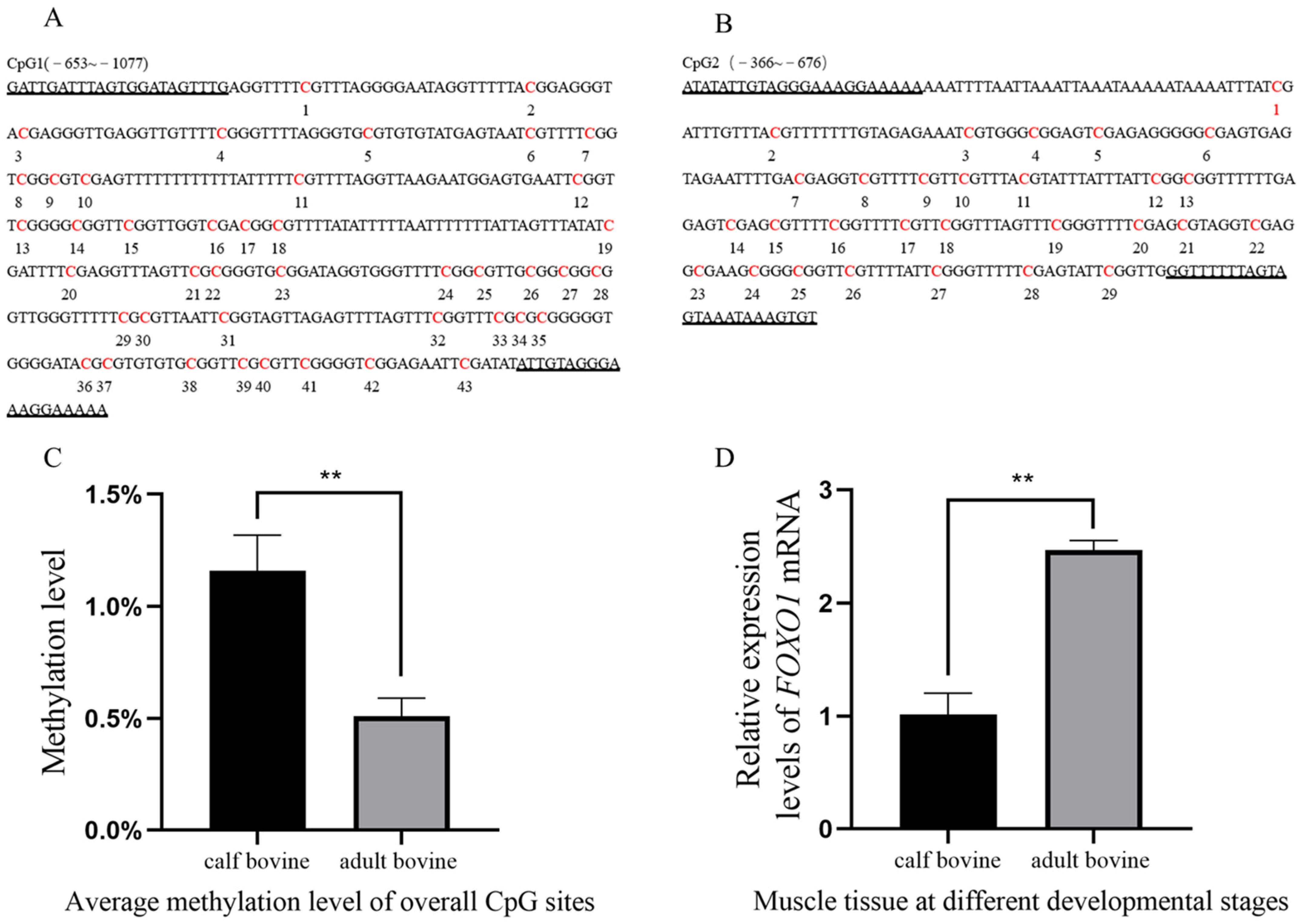 Animals 13 00319 g001 Animals 13 00319 g001