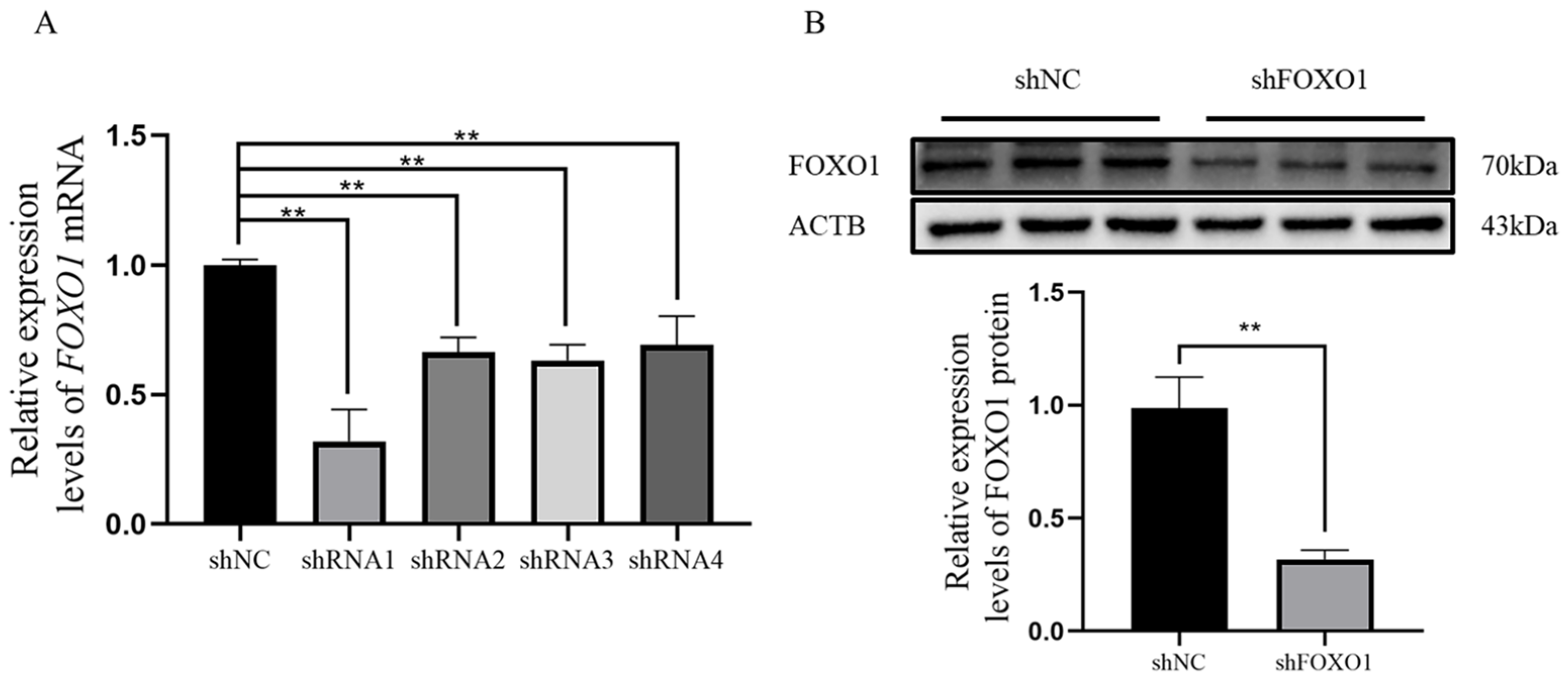 Animals 13 00319 g003 Animals 13 00319 g003