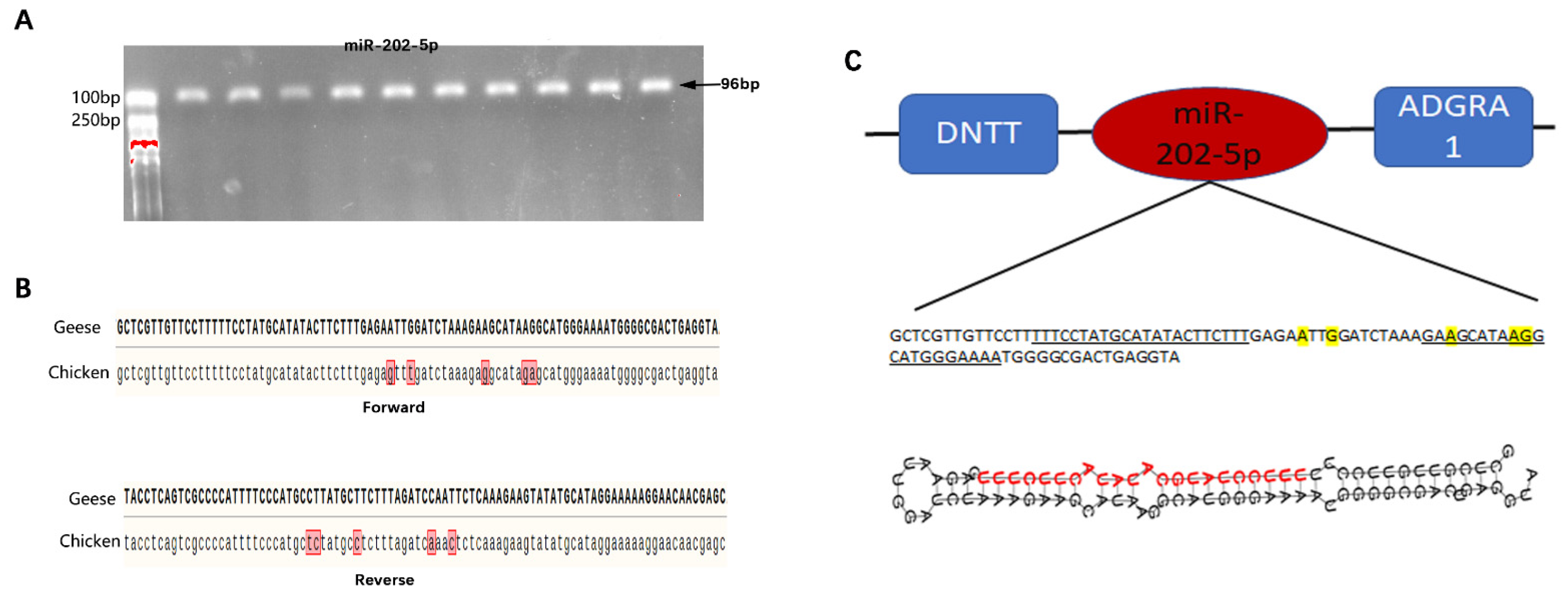 Animals 13 00325 g001 Animals 13 00325 g001