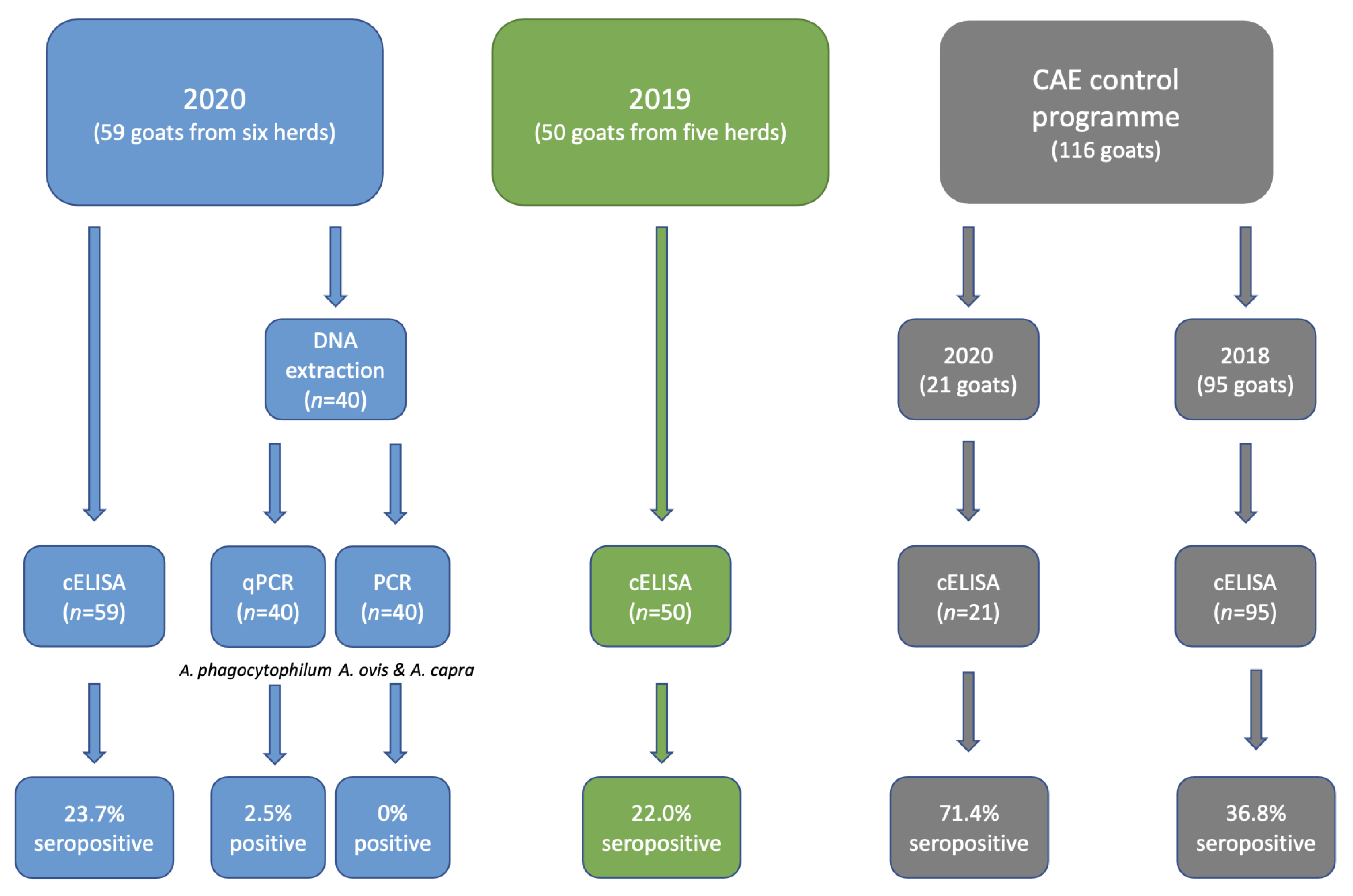 Animals 13 00333 g002