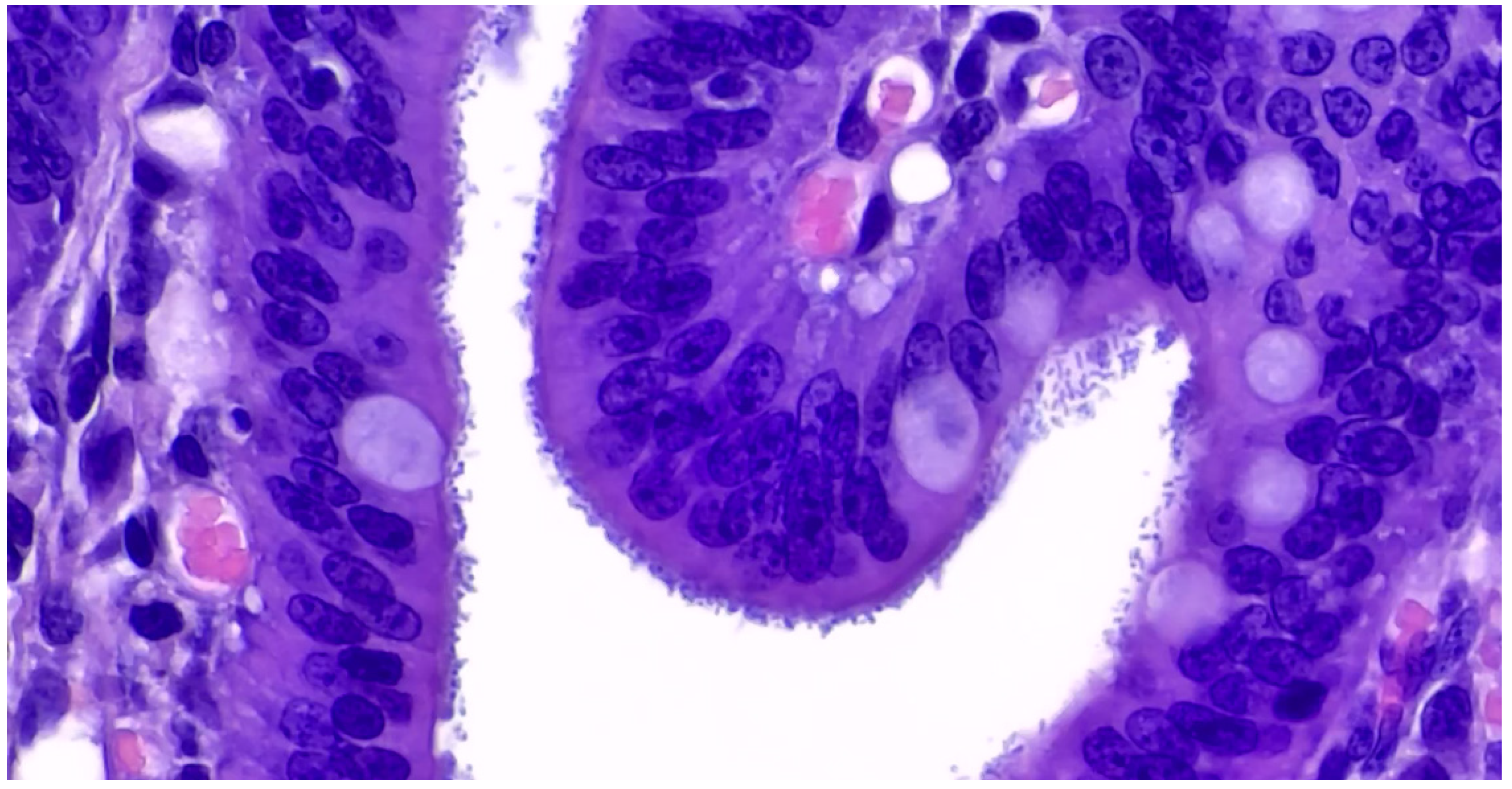 Animals 13 00338 g009