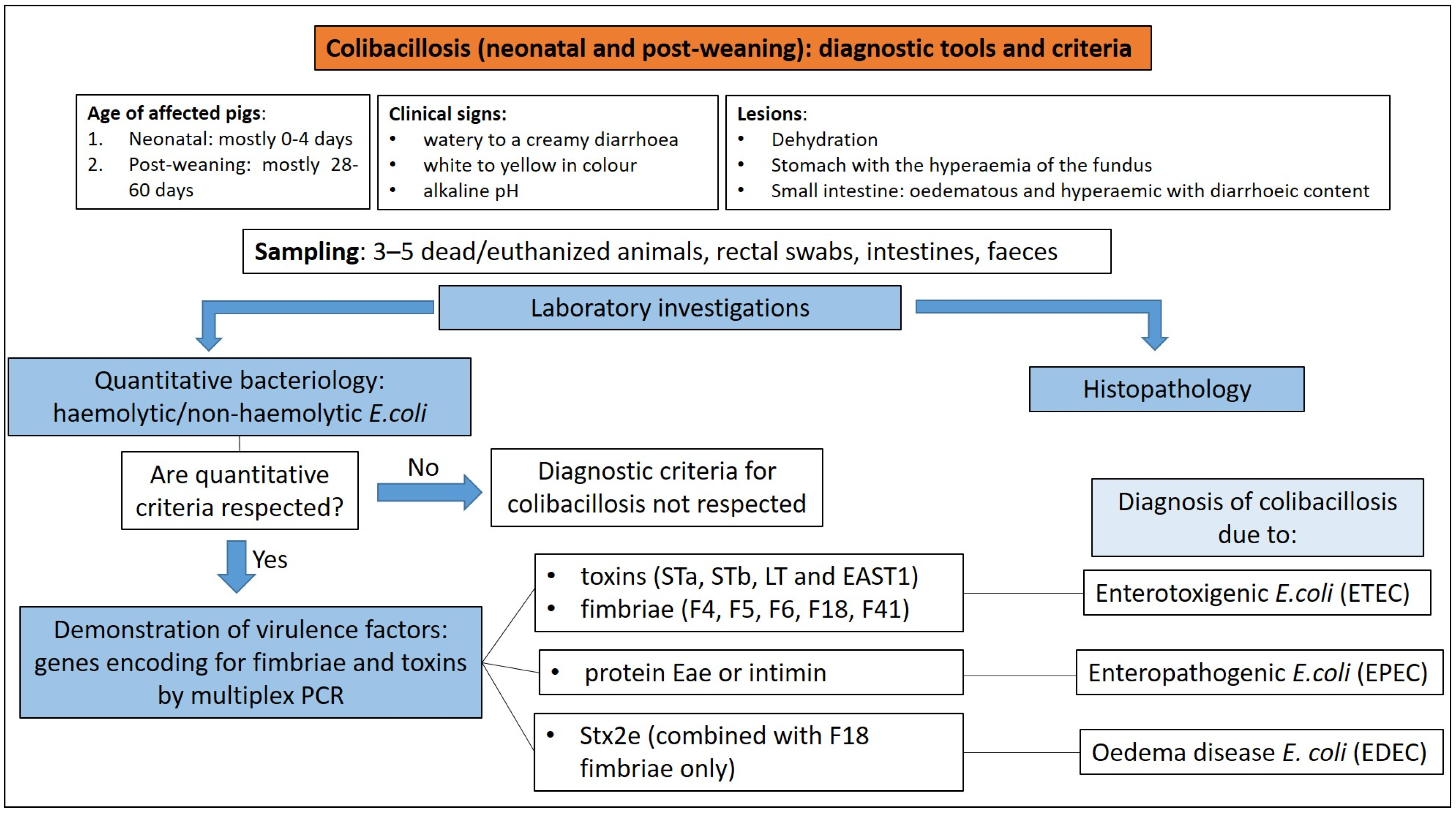 Animals 13 00338 g010