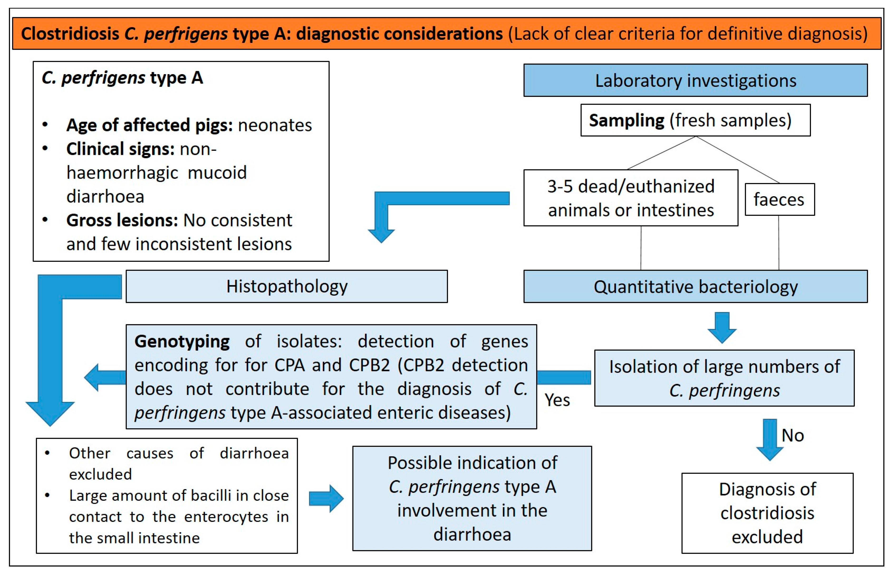 Animals 13 00338 g012