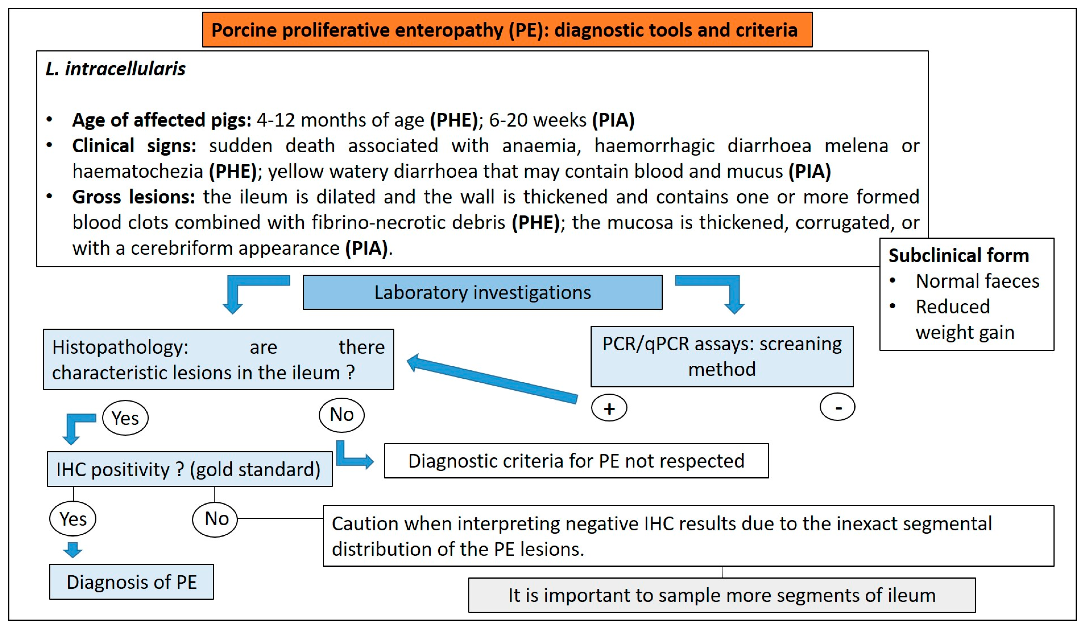 Animals 13 00338 g025