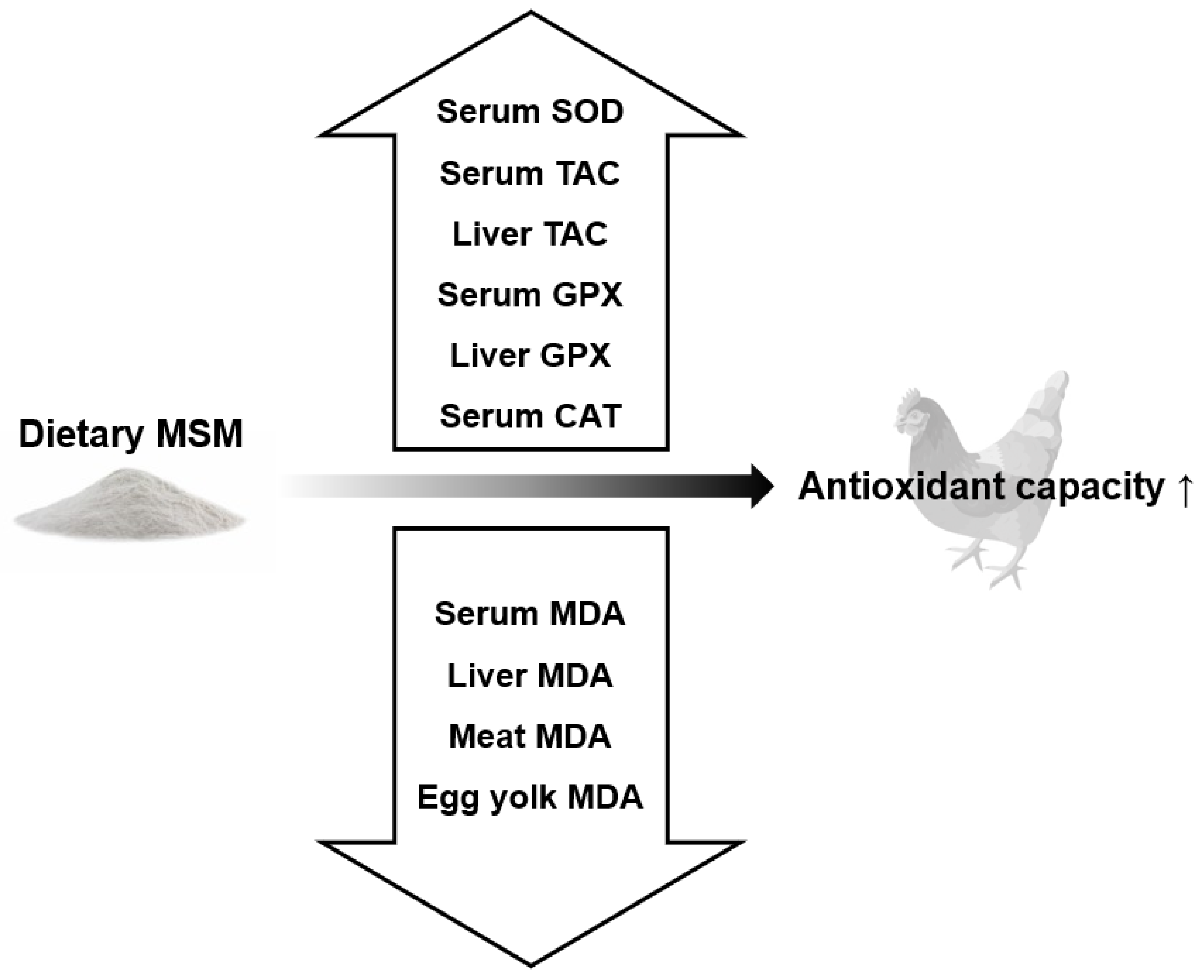 Animals 13 00351 g003 Animals 13 00351 g003