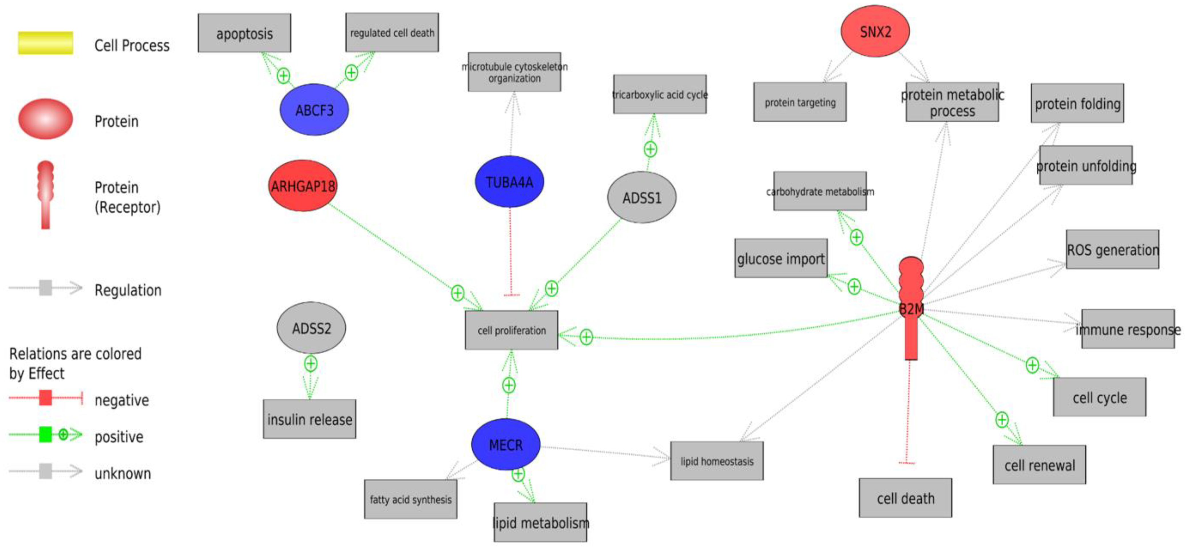 Animals 13 00359 g002